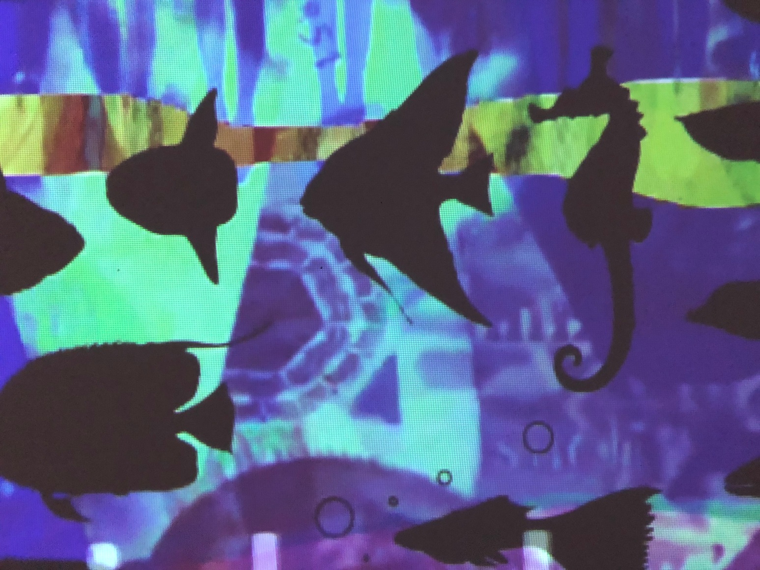 A closeup and silhouette of fish in a sea of blue