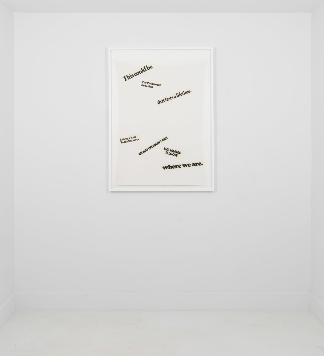 Lorraine O'Grady Cutting out CONYT 26 Germantown Alexander Gray