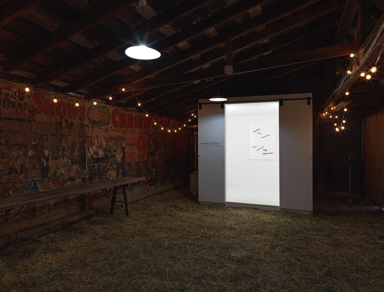 Lorraine O'Grady Cutting out CONYT 26 Germantown Alexander Gray