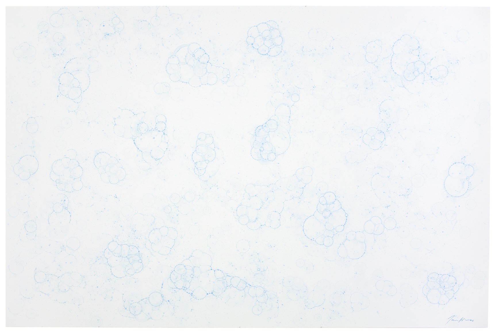 Tara Donovan, &nbsp;Untitled (Bubble Drawing), 2005