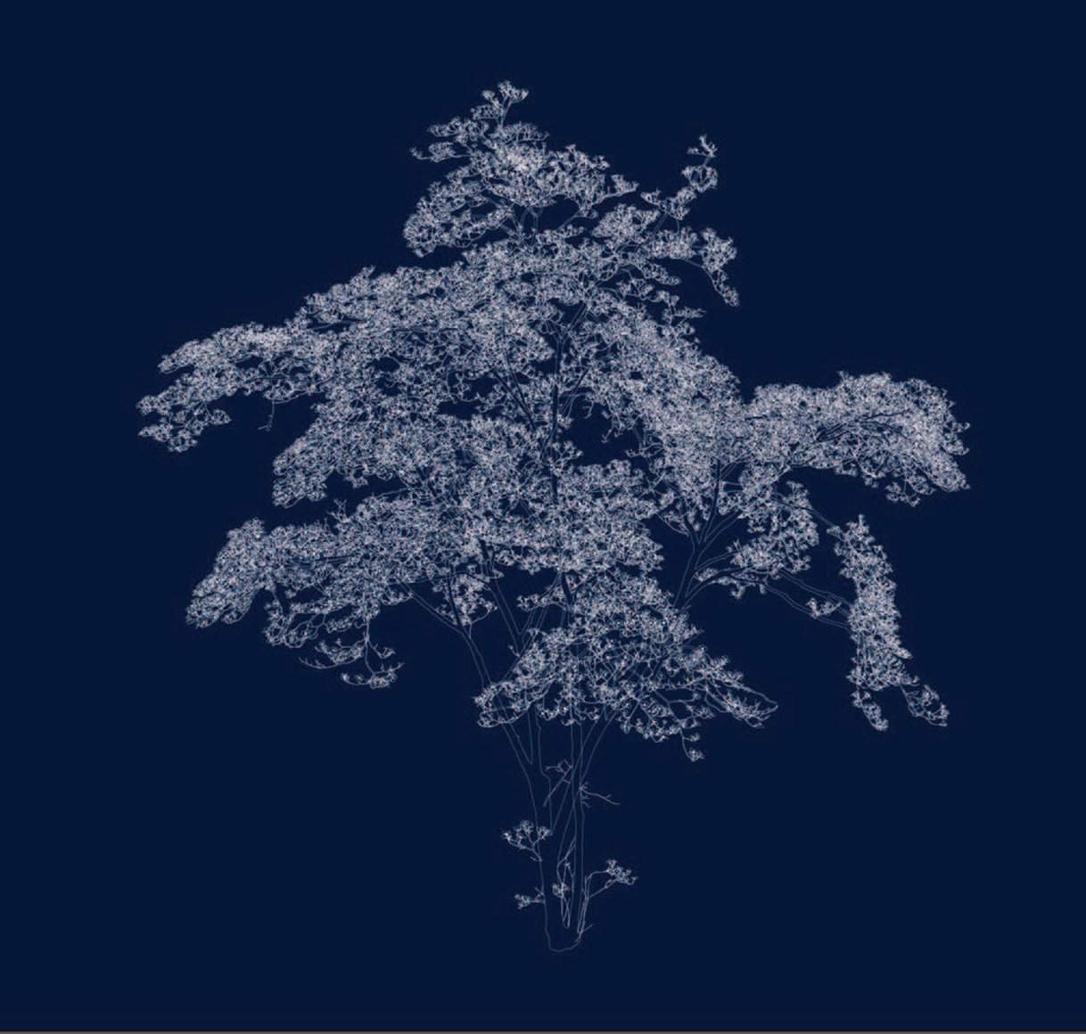 38º 39’ 8.5“N 90º 18’ 46.9“W (dogwood), 2016, Lightjet print mounted to Plexi