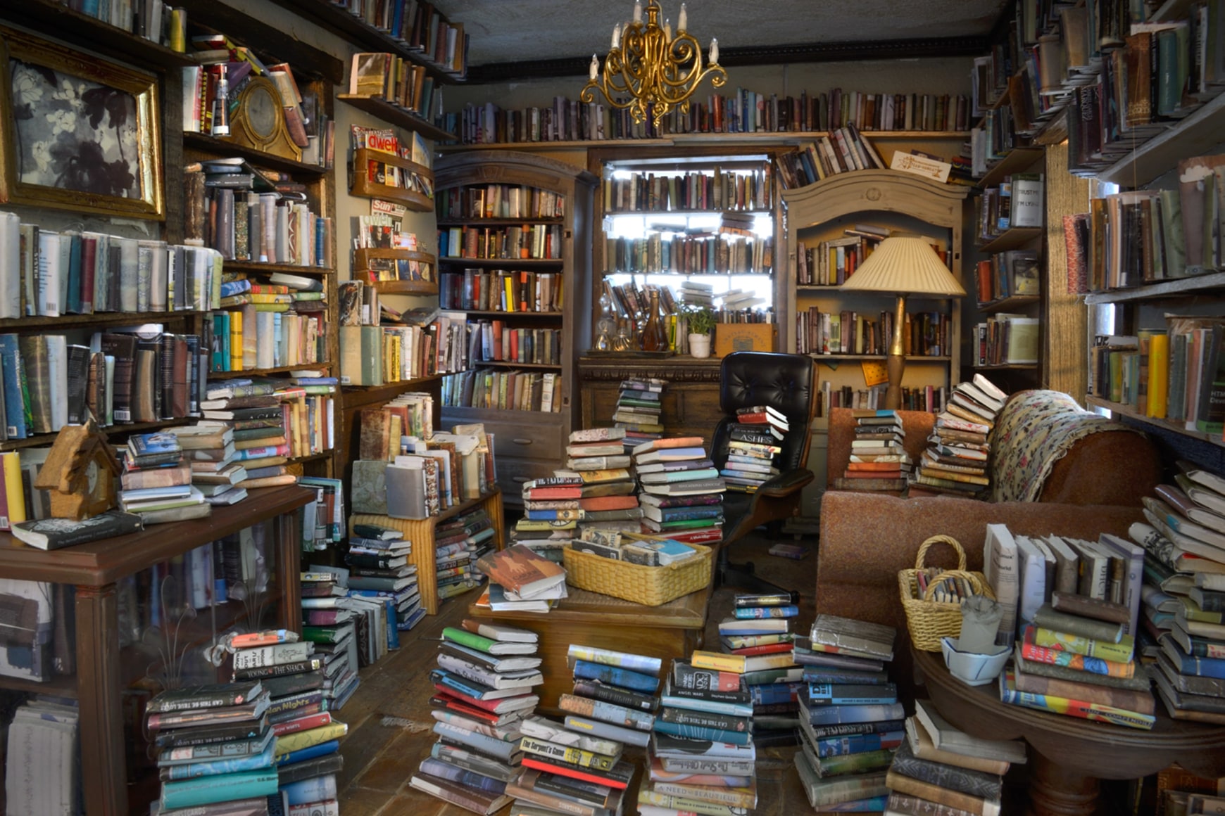 Carrie M. Becker, The Bibliophile, 2015