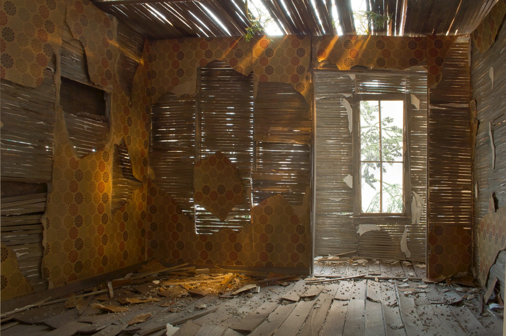Carrie M. Becker, Dappled Sunlight, 2013