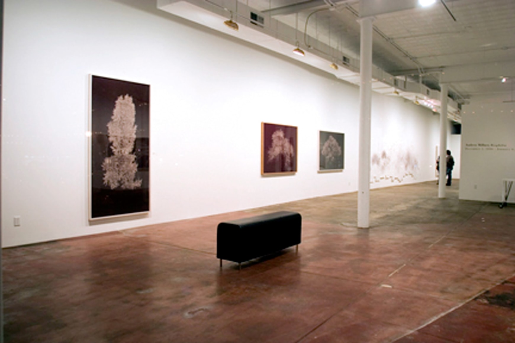 Andrew Millner: Biophilia