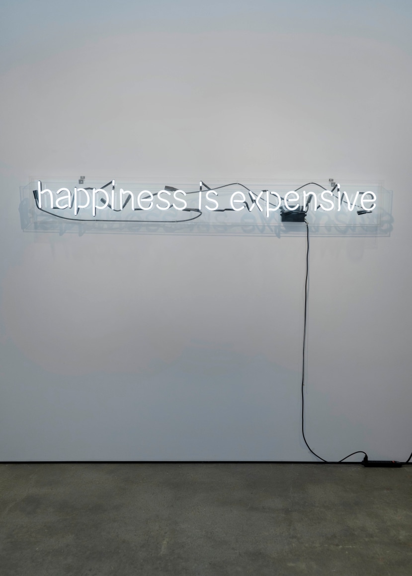 happiness is expensive (lowercase), 2012  Neon  9 x 83 x 3 inches