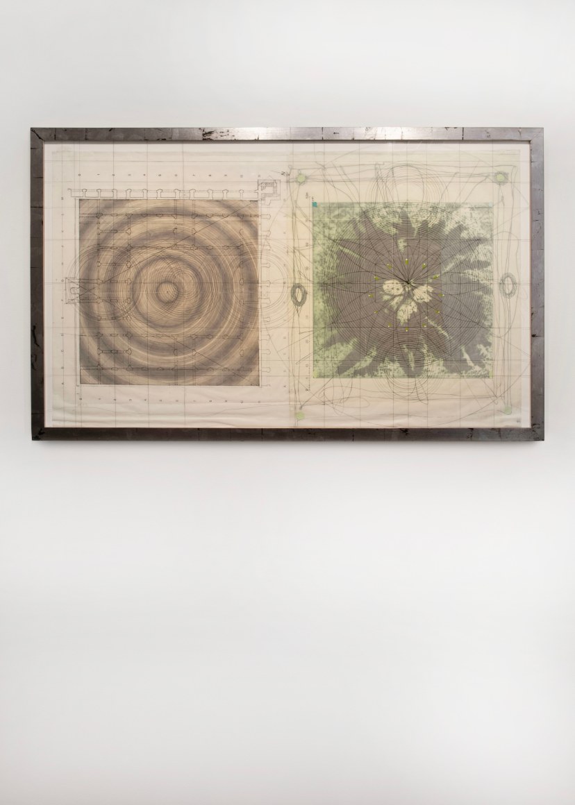 Untitled (Target, fern, mixed media plexi), 2001  Lithograph, etching, collograph, wax and scored plexiglass  37 x 57 inches  21/30