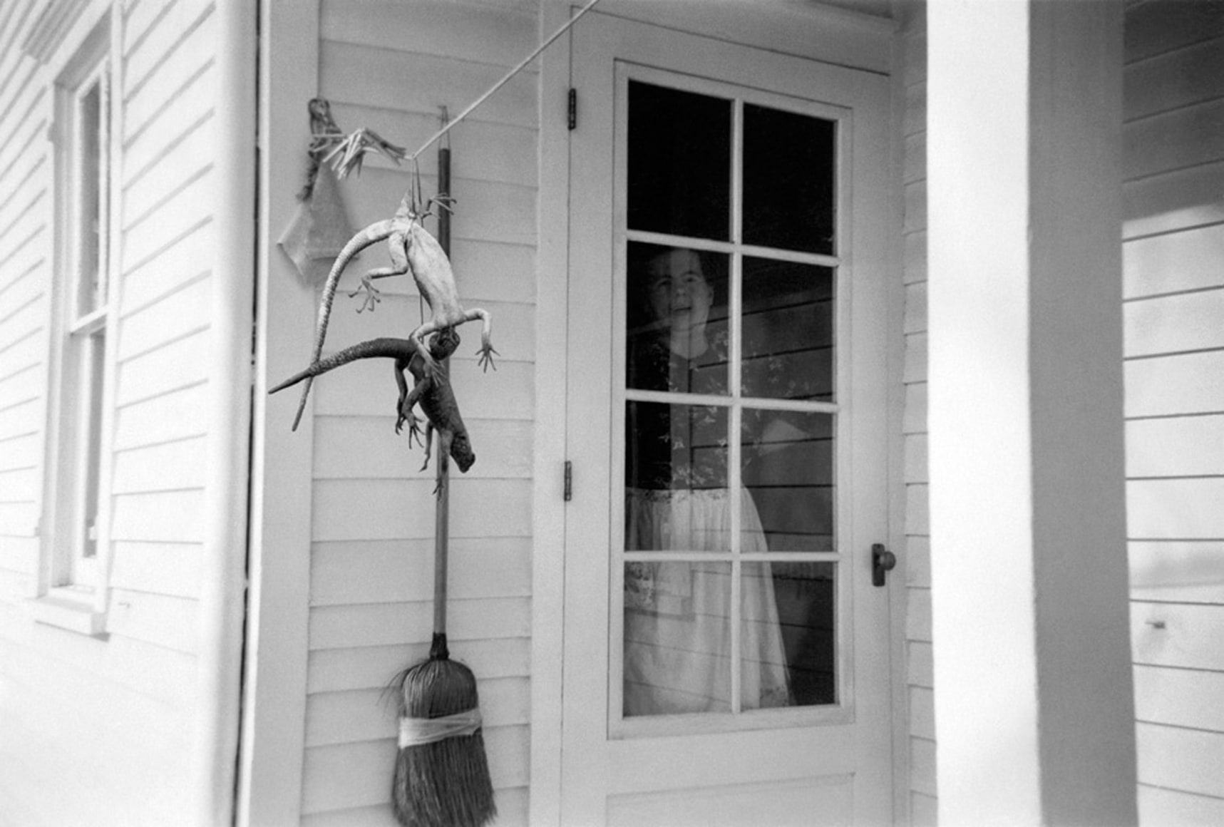 Jane Hammond: Recent Work