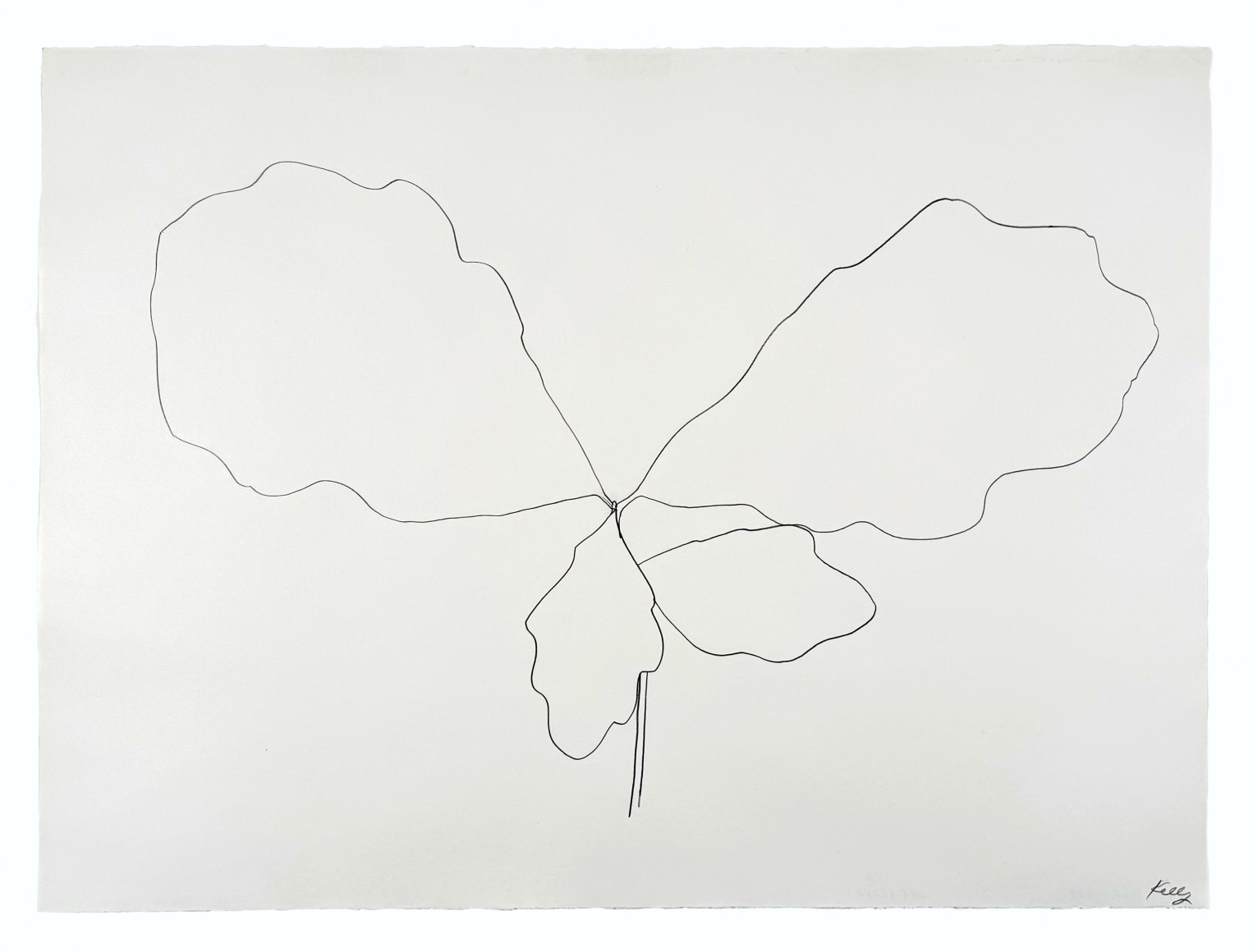 Oak, 1969 Graphite on paper