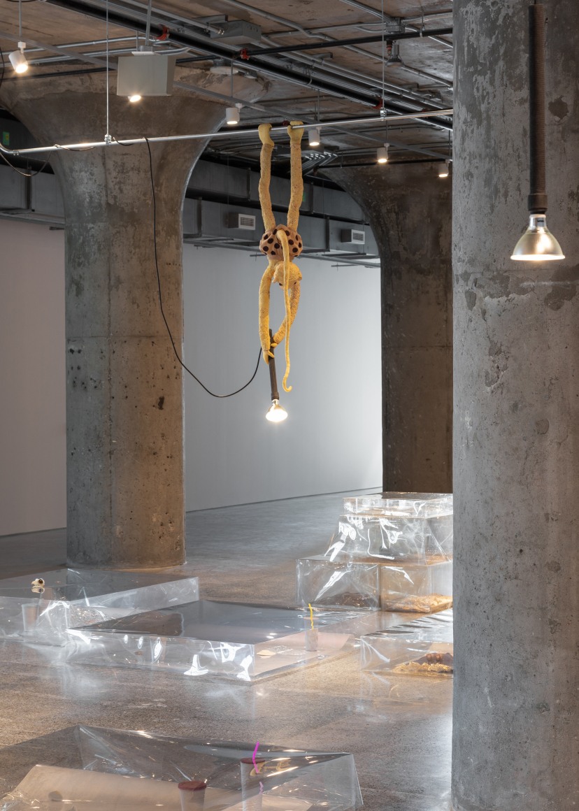 Liz Magor, The Separation