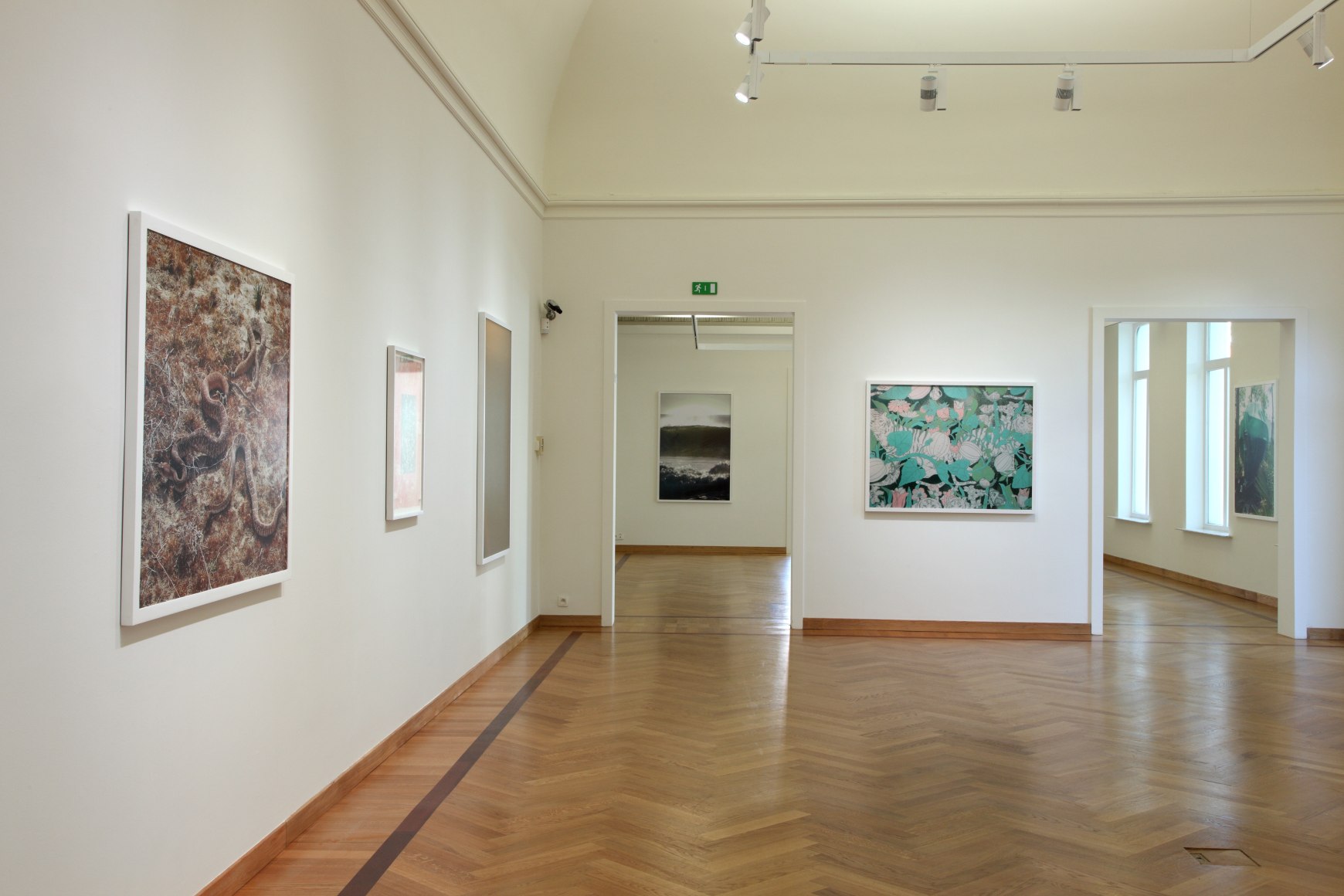 Roe Ethridge September 27, 2012 - January 13, 2013,&nbsp;Museum Leuven, Leuven, Belgium