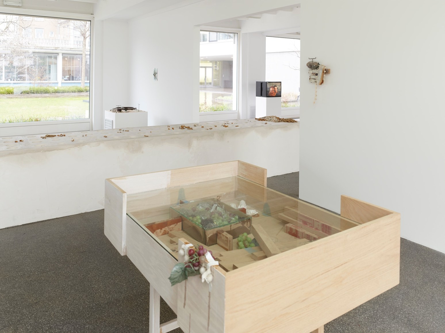 Uri Aran,&nbsp;Mice February 13 - March 27 2016,&nbsp;K&ouml;lnischer Kunstverein, Cologne, Germany