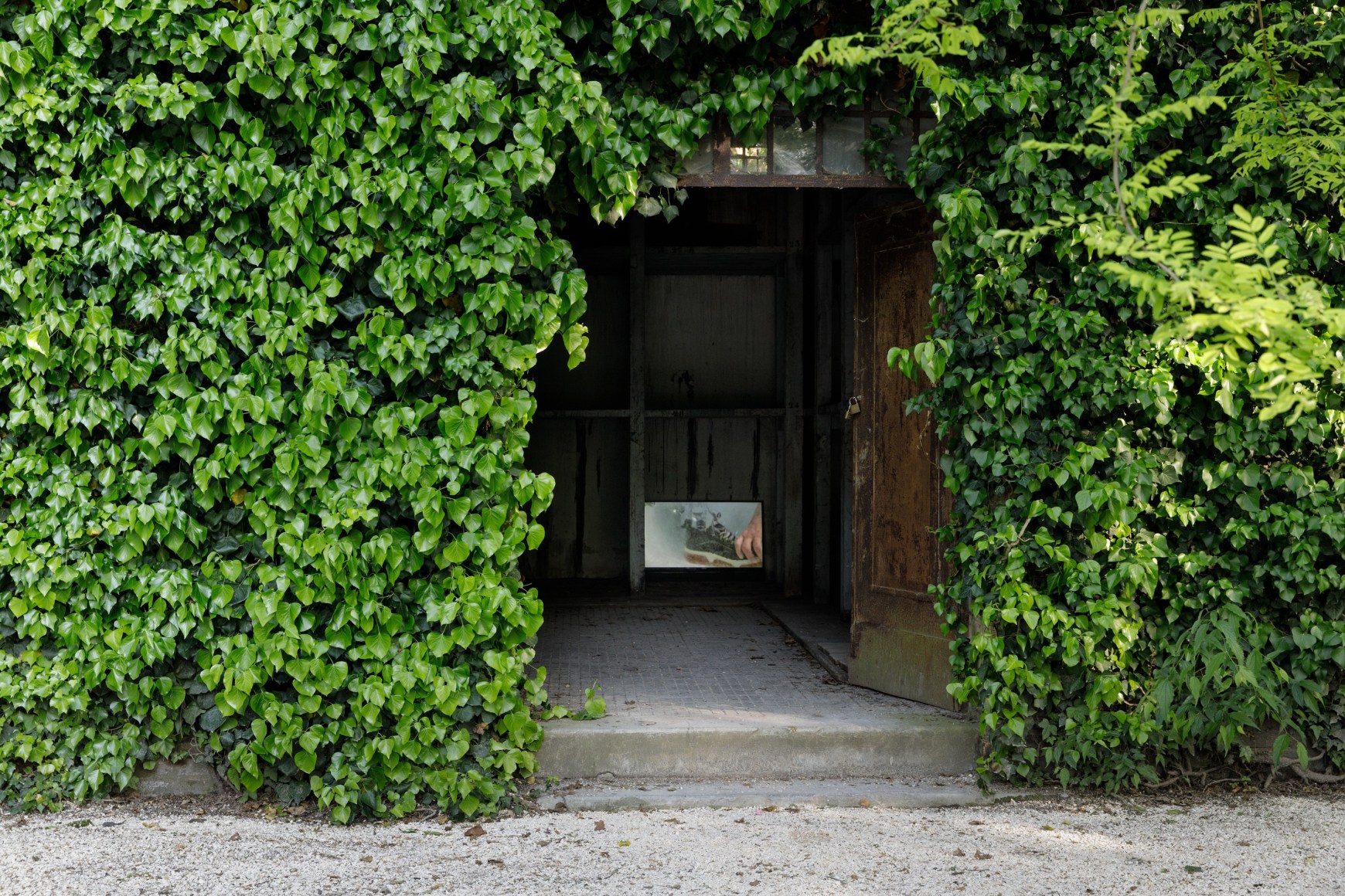 Michael E. Smith, May You Live In Interesting Times