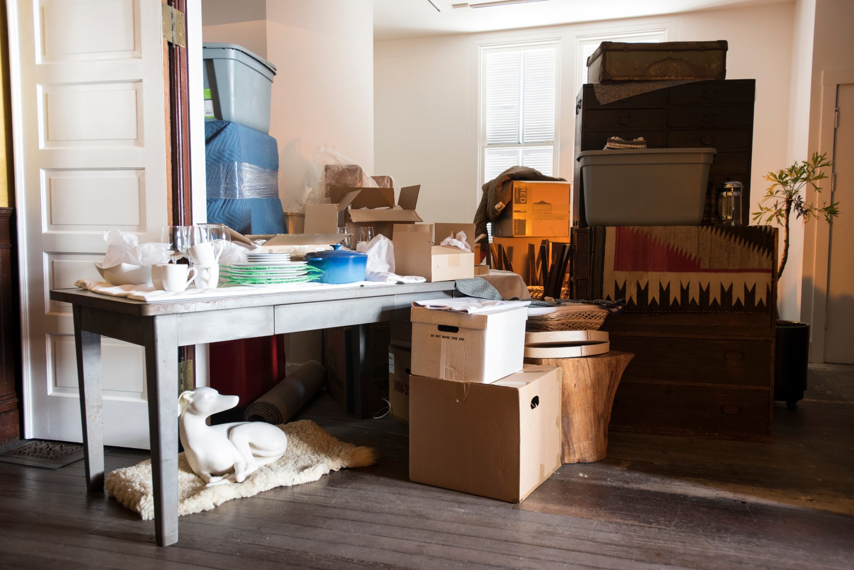 Liz Magor, TIMESHARE