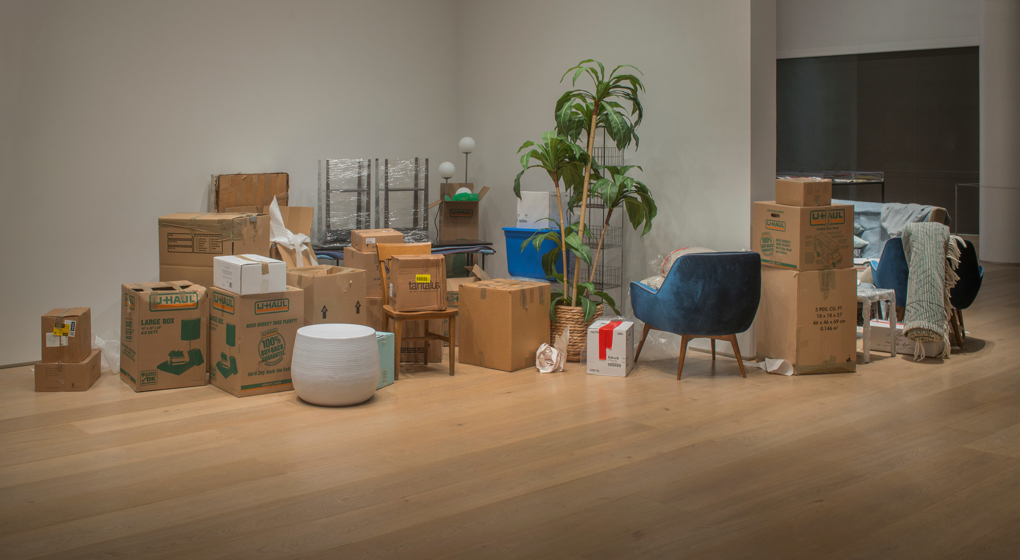 Liz Magor, One Bedroom Apartment