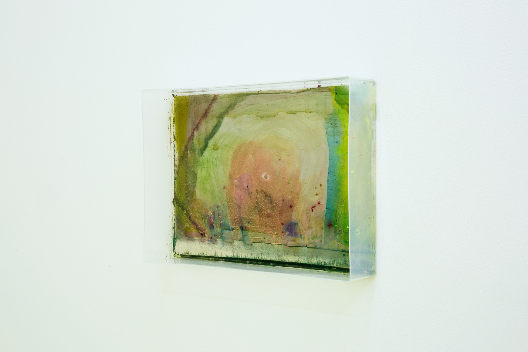 Hayley Tompkins December 10, 2016 - January 28, 2017, Lulu, Mexico City