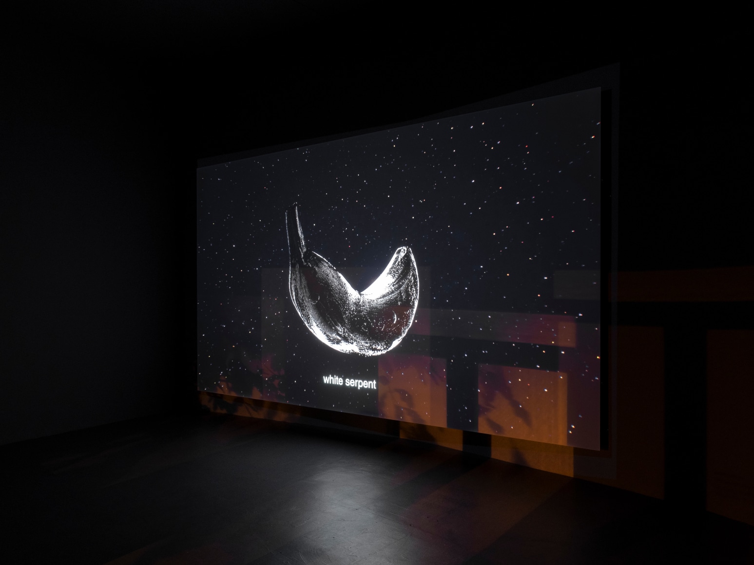 Julien Creuzet, Assidule