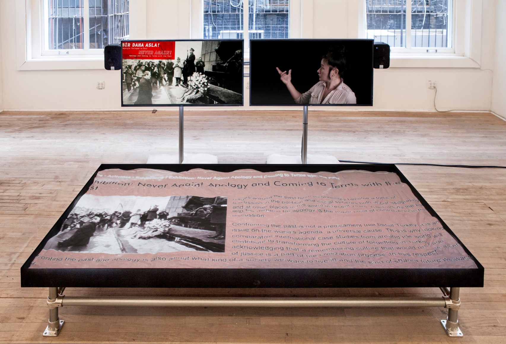 Hito Steyerl, Hito Steyerl