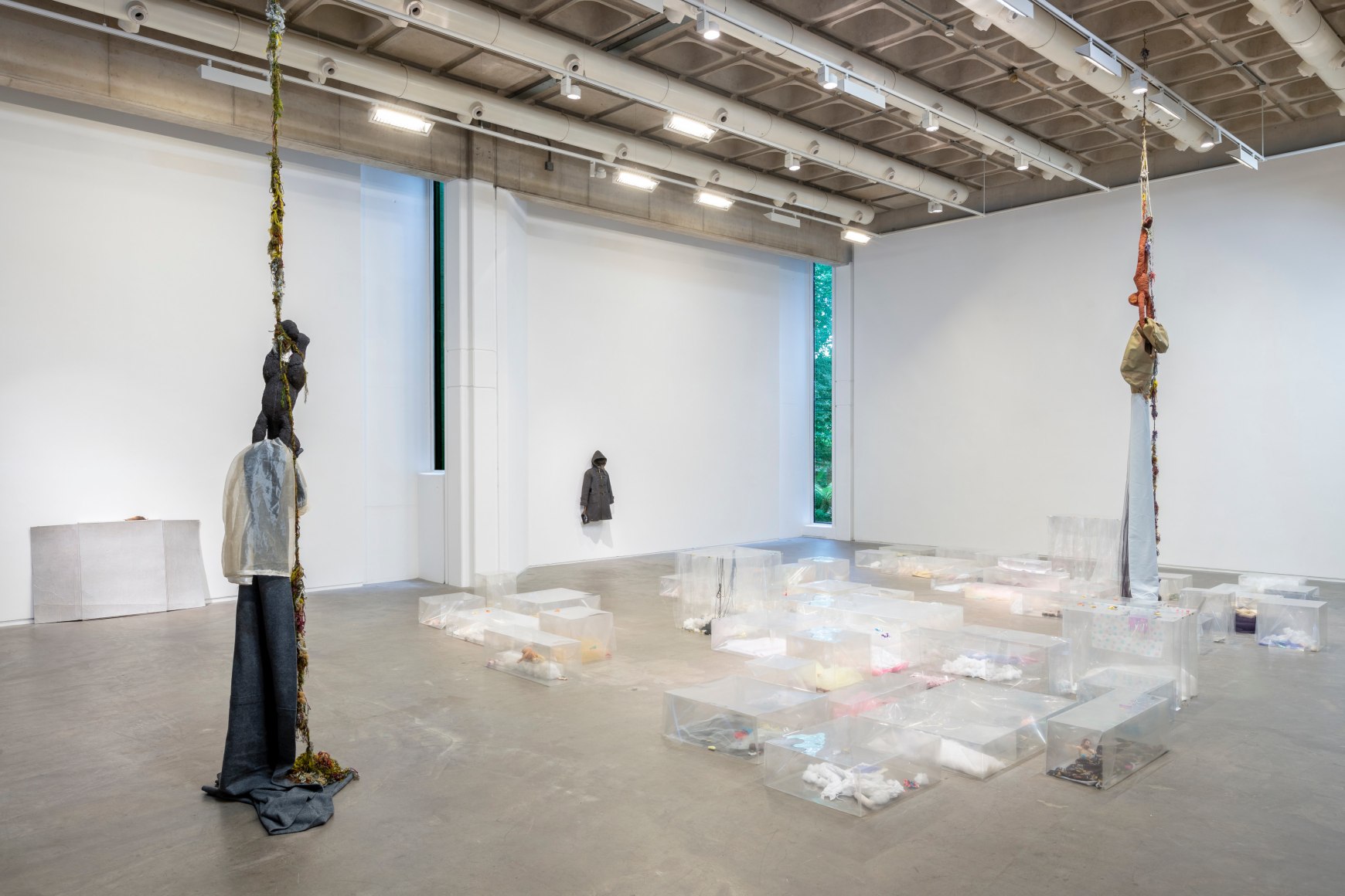 Liz Magor, The Rise and The Fall