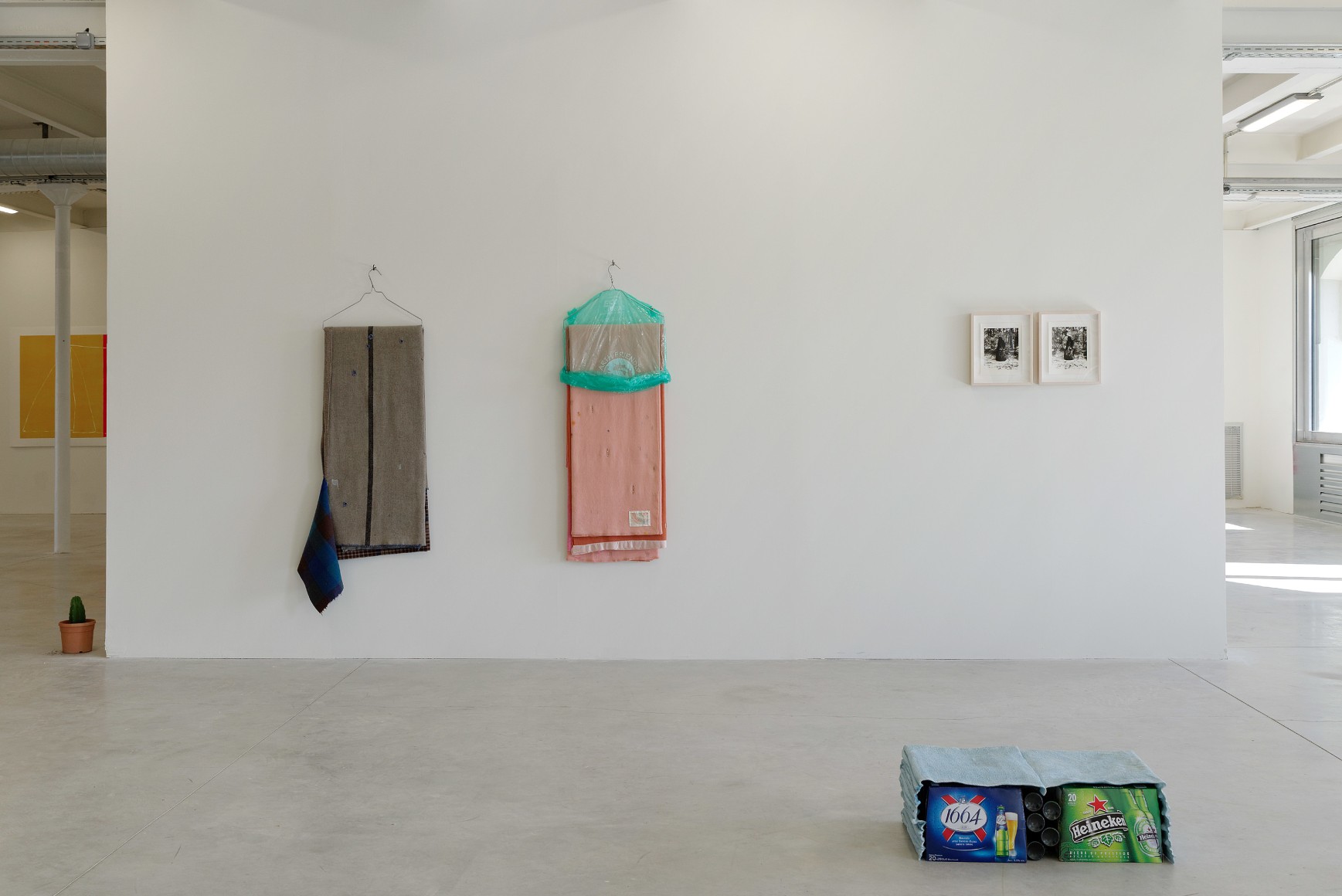 Liz Magor, No Fear, No Shame, No Confusion