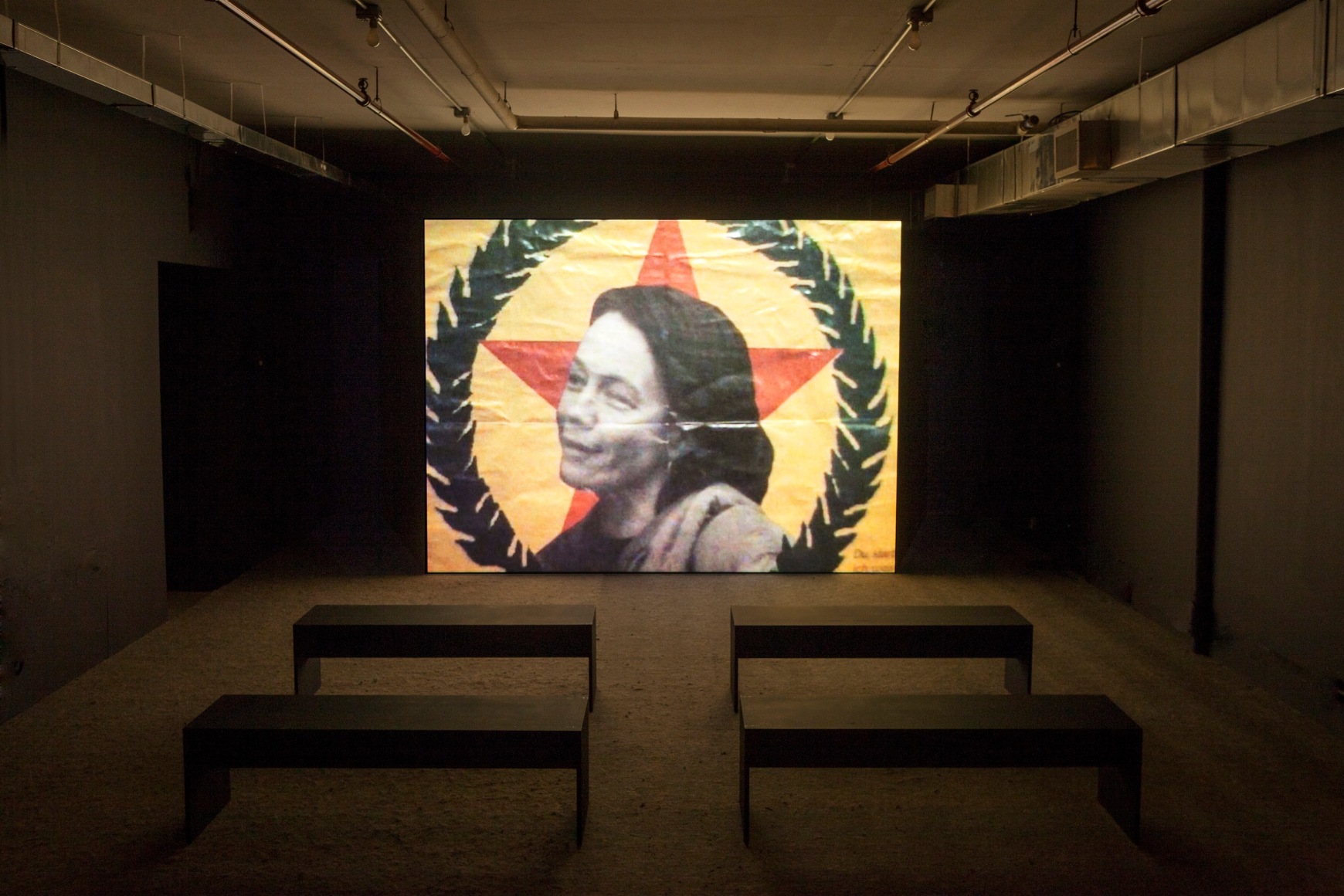 Hito Steyerl, Hito Steyerl