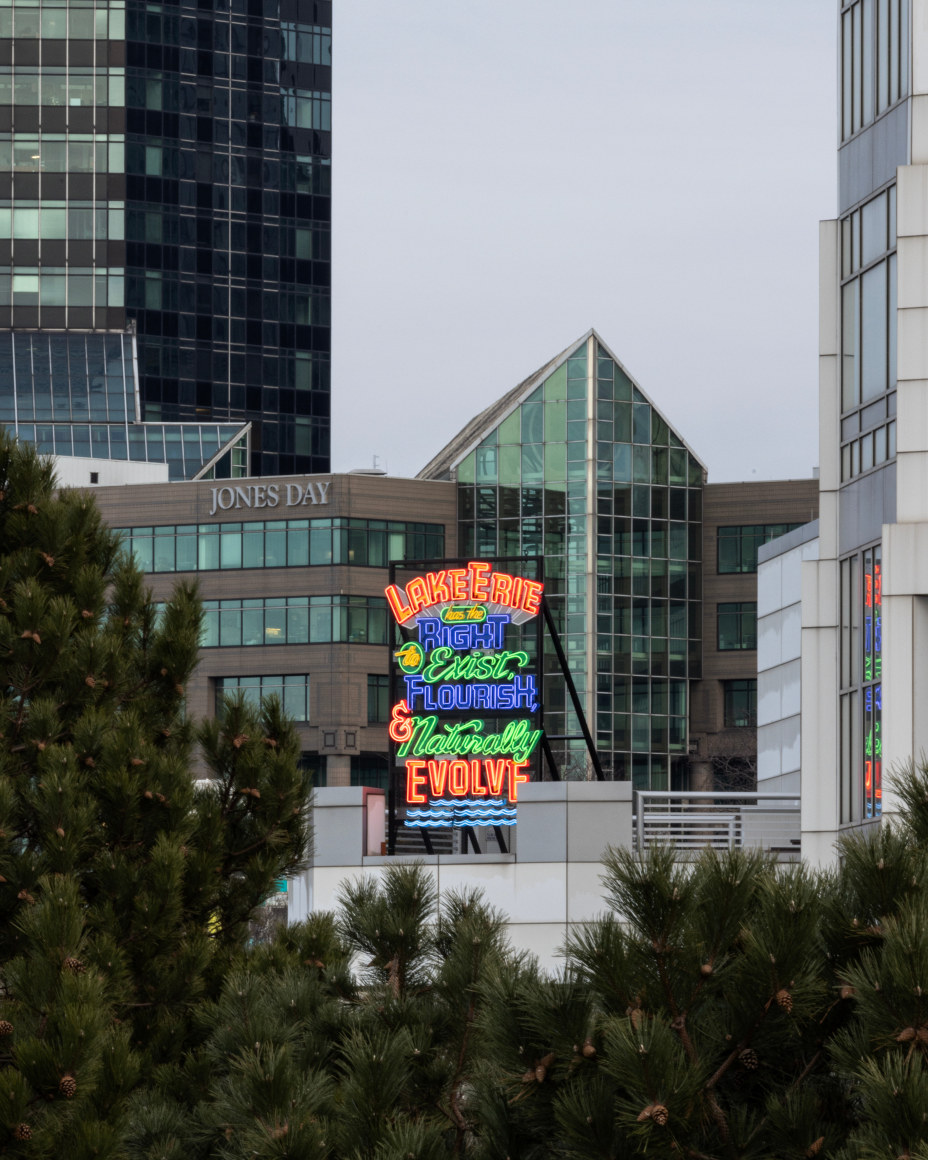 Andrea Bowers, Exist, Flourish, Evolve