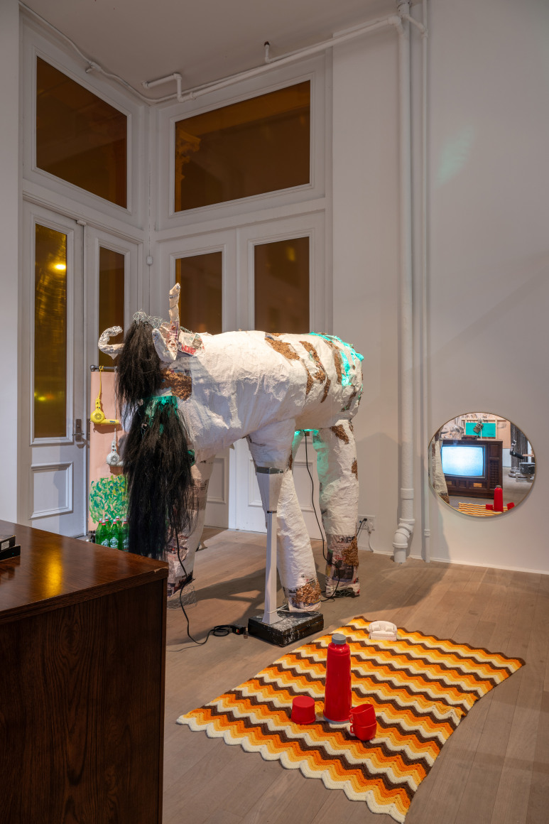 Char Jeré, Zoo or an Orchestra