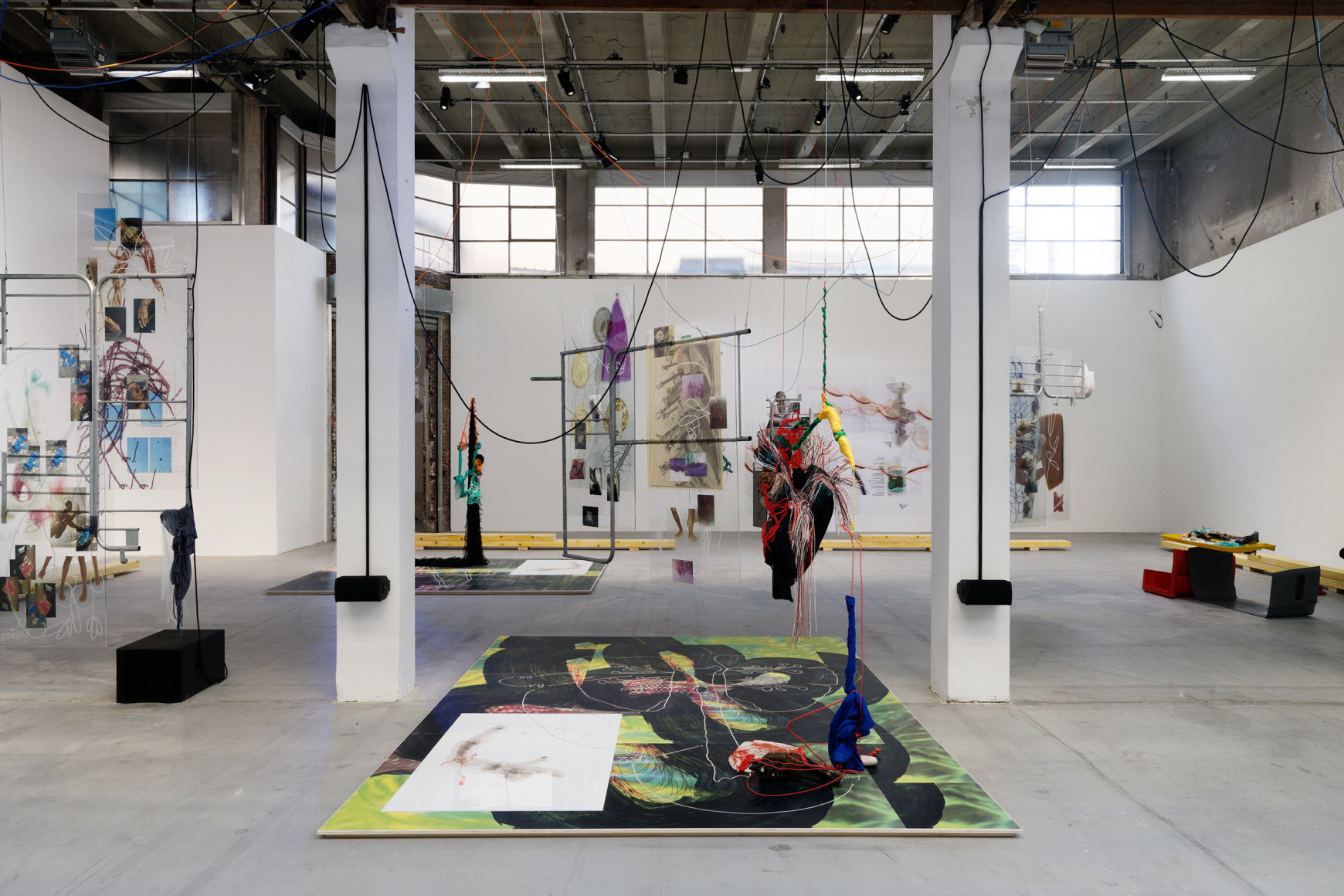 Julien Creuzet, Installation view
