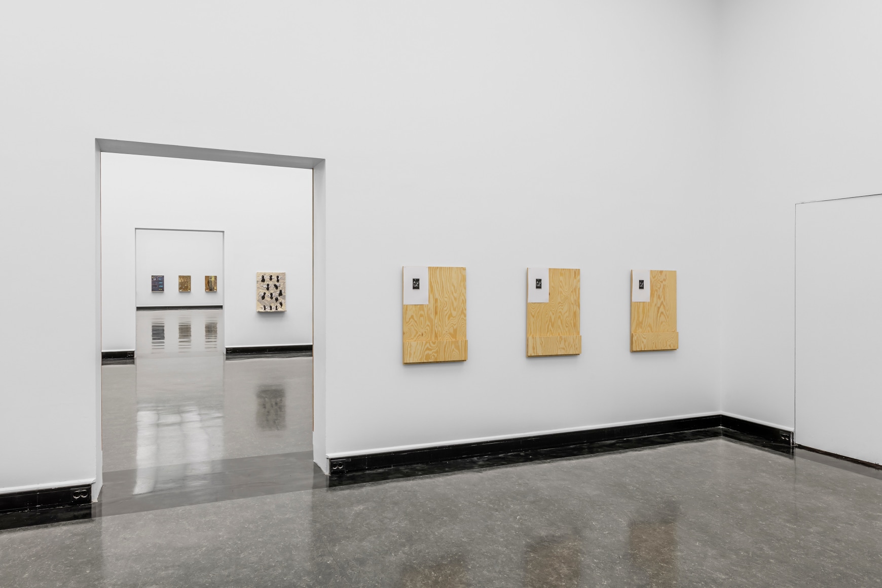 Fredrik V&aelig;rslev, All Around Amateur