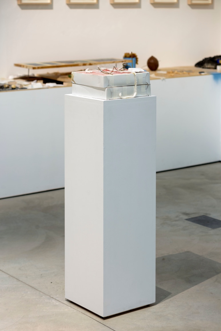 Uri Aran, The Encyclopedic Palace