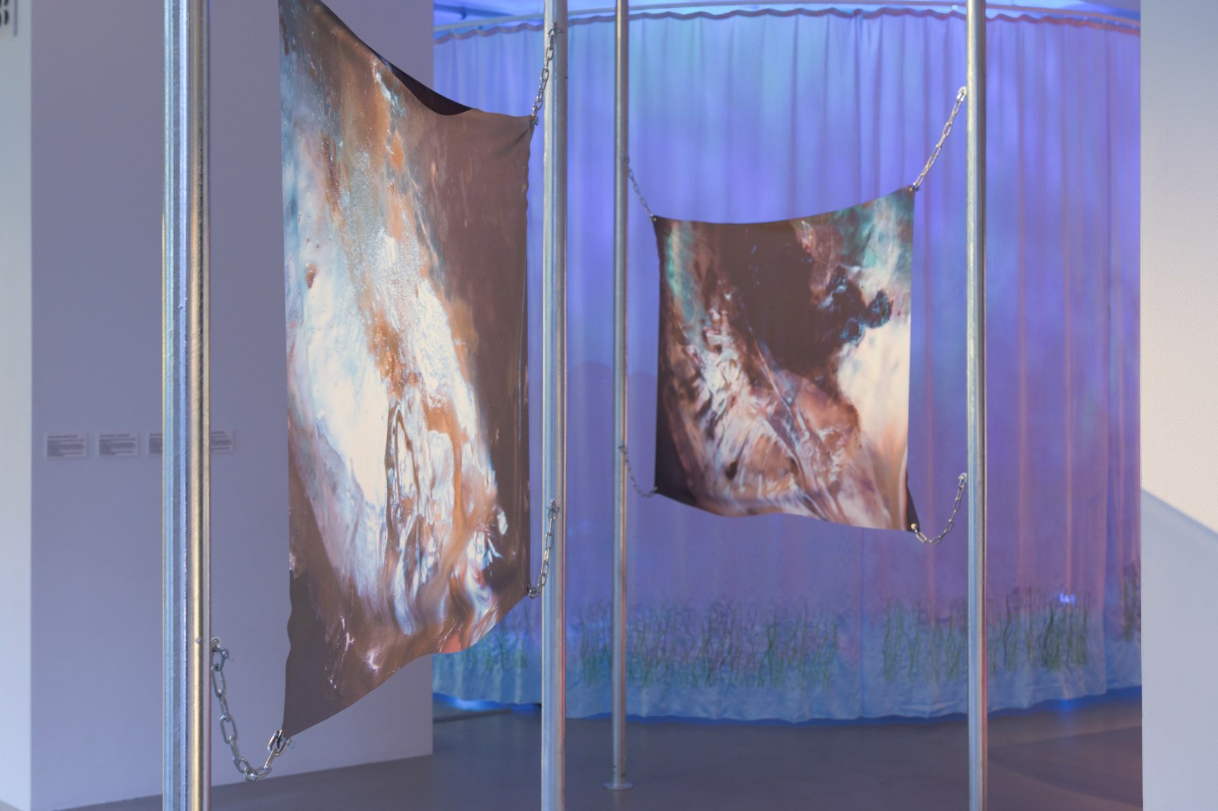 Jes Fan,&nbsp;Sex Ecologies