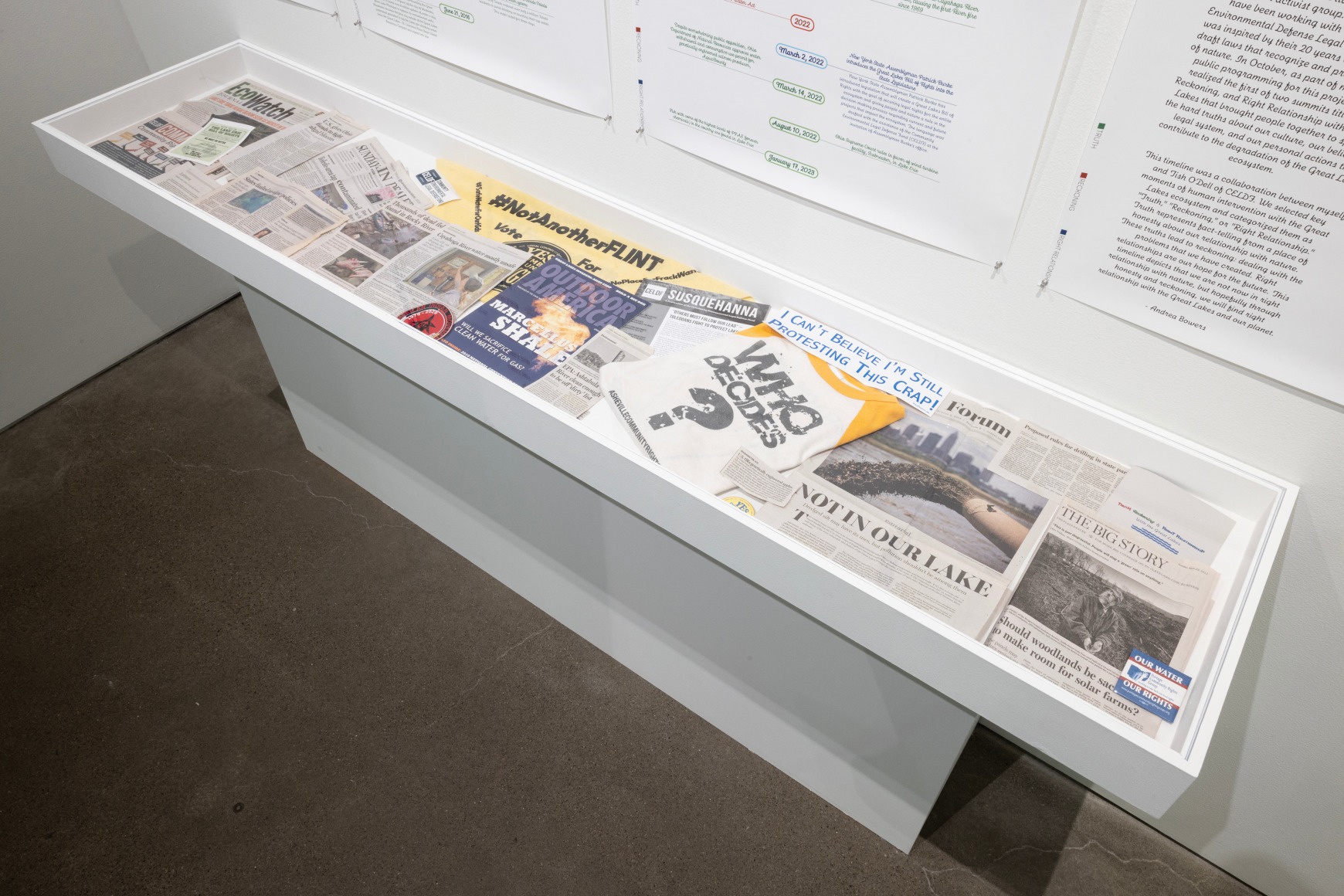 Andrea Bowers, Exist, Flourish, Evolve