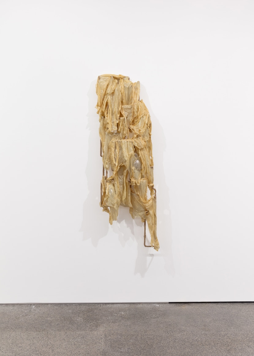 Jes Fan, Greater Toronto Art 2024