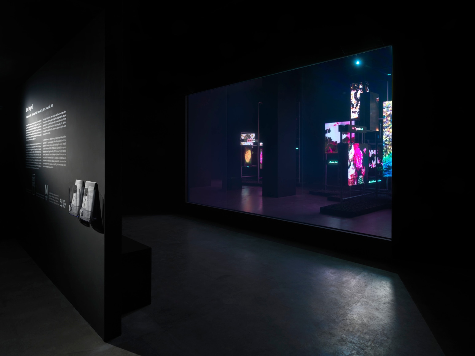 Hito Steyerl November 23, 2019 - January 26, 2020,&nbsp;Neuer Berliner Kunstverein, Berlin, Germany
