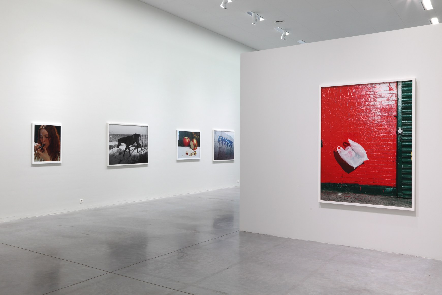 Roe Ethridge September 27, 2012 - January 13, 2013,&nbsp;Museum Leuven, Leuven, Belgium