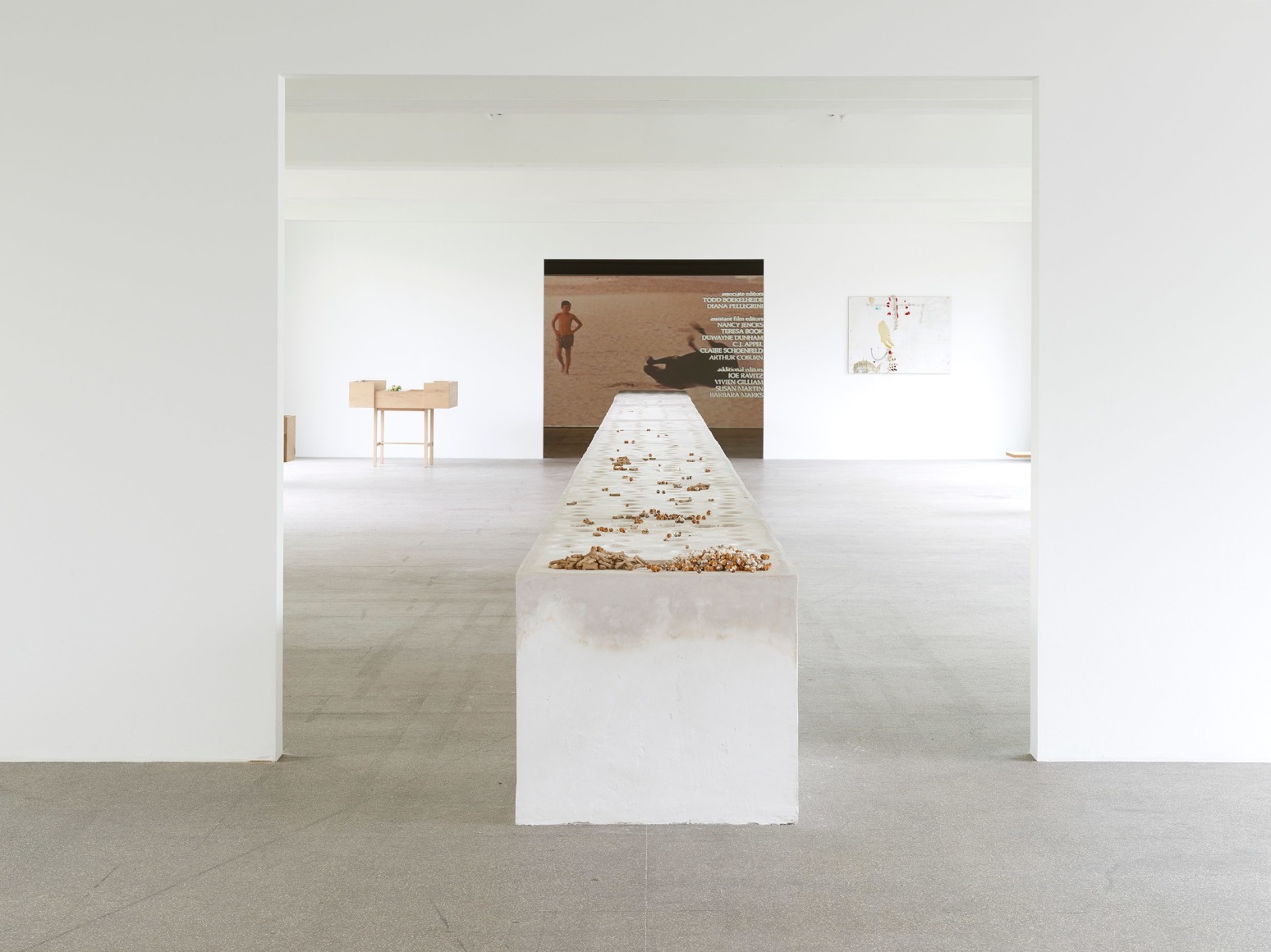 Uri Aran,&nbsp;Mice February 13 - March 27 2016,&nbsp;K&ouml;lnischer Kunstverein, Cologne, Germany