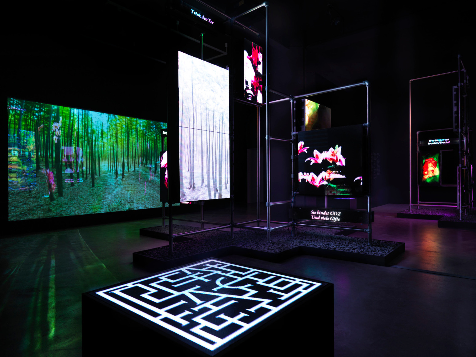 Hito Steyerl November 23, 2019 - January 26, 2020,&nbsp;Neuer Berliner Kunstverein, Berlin, Germany