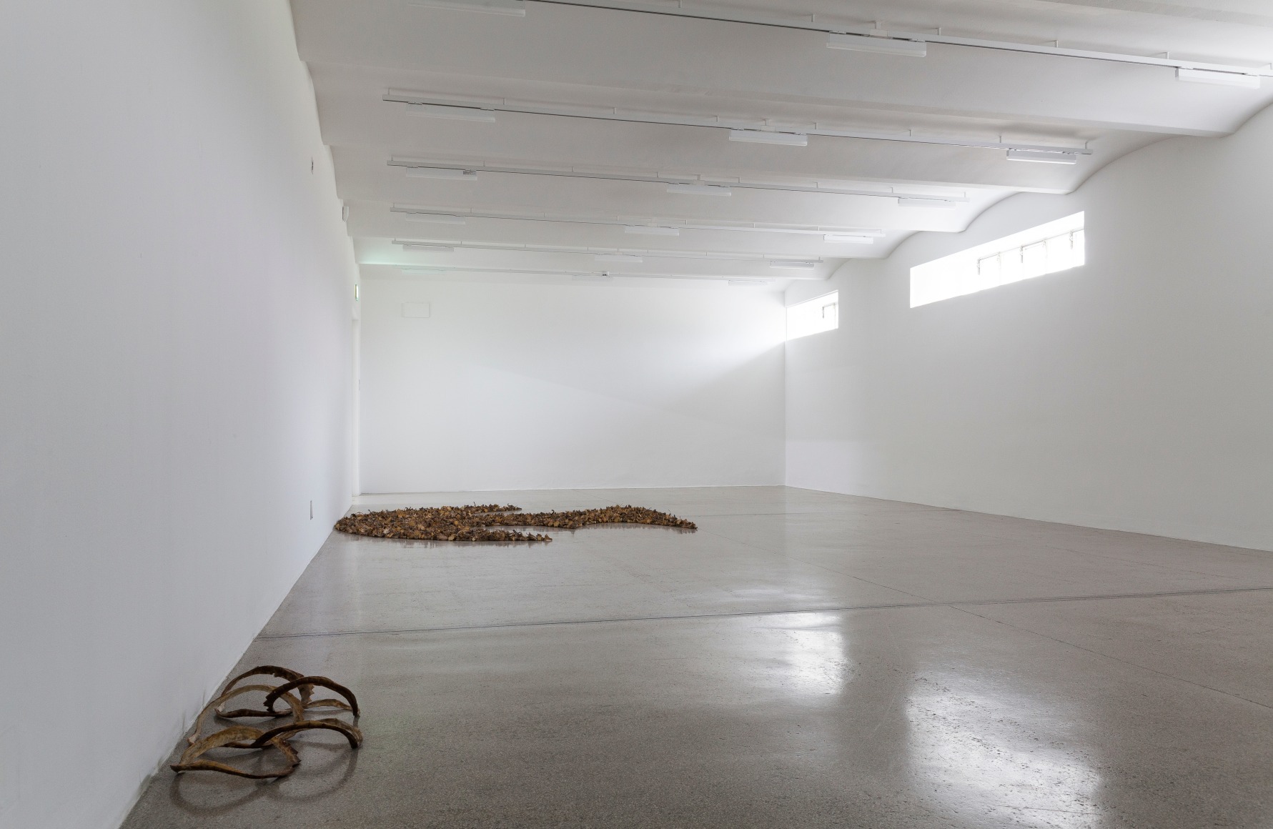 Michael E.Smith&nbsp; February 21 - September 6, 2020,&nbsp;Vienna Secession, Vienna, Austria