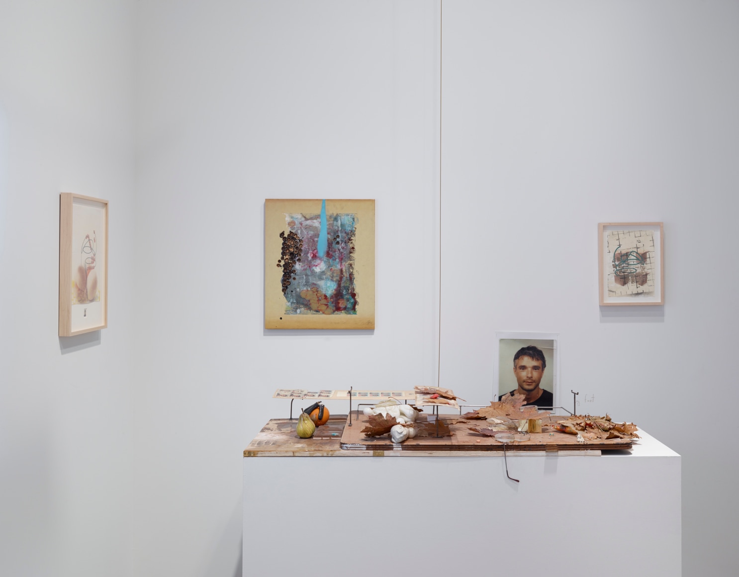 Uri Aran, Whitney Biennial 2014