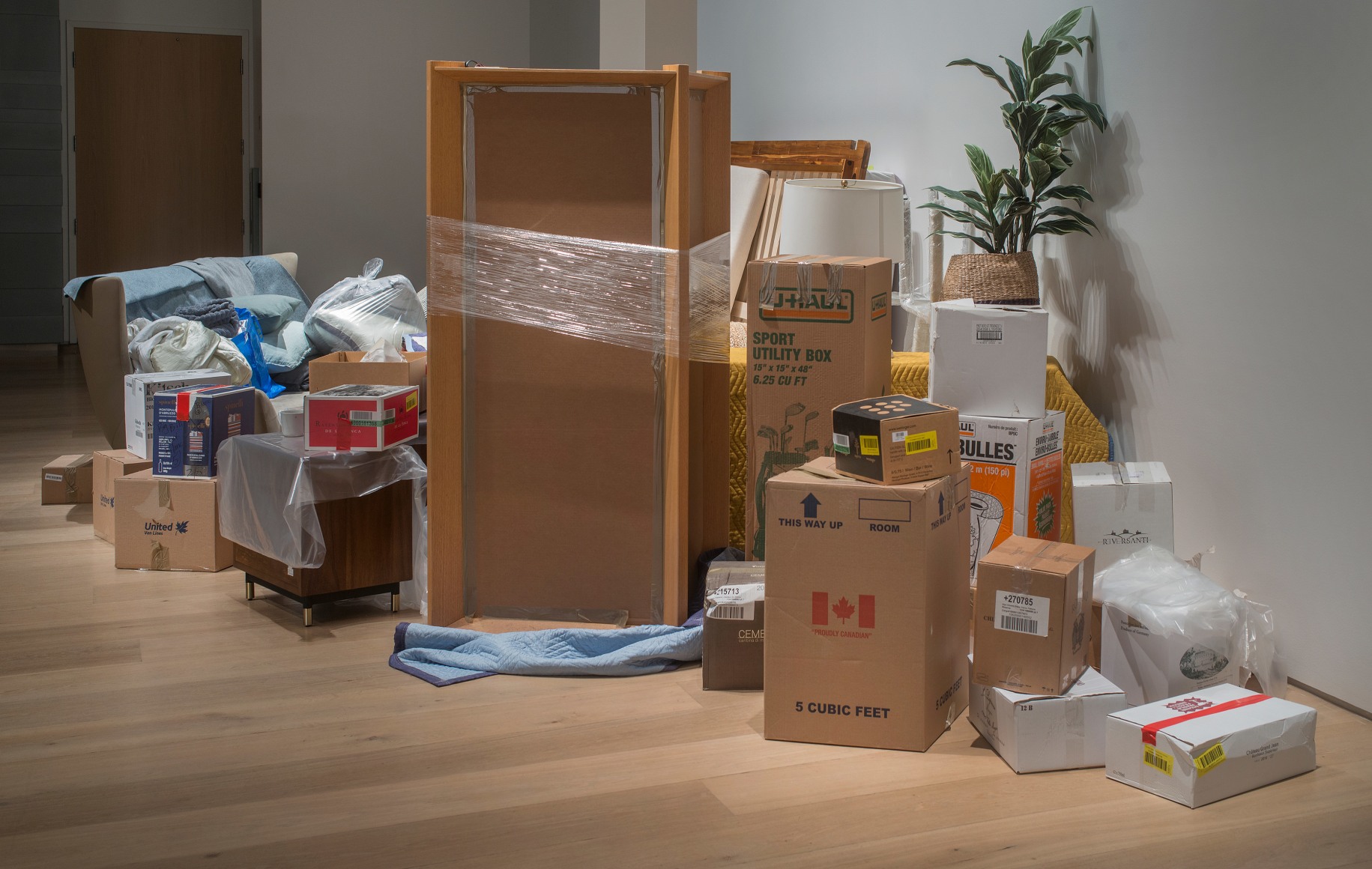 Liz Magor, One Bedroom Apartment