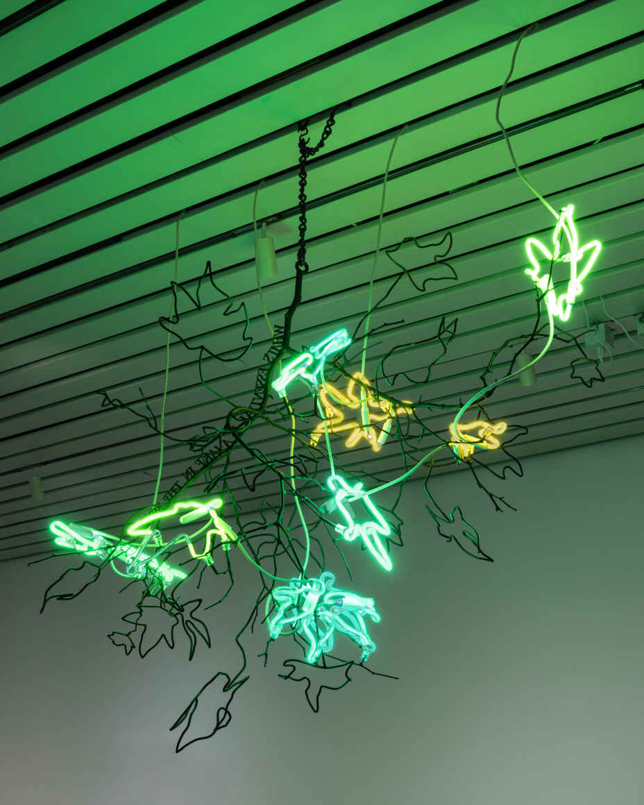 Andrea Bowers, Exist, Flourish, Evolve