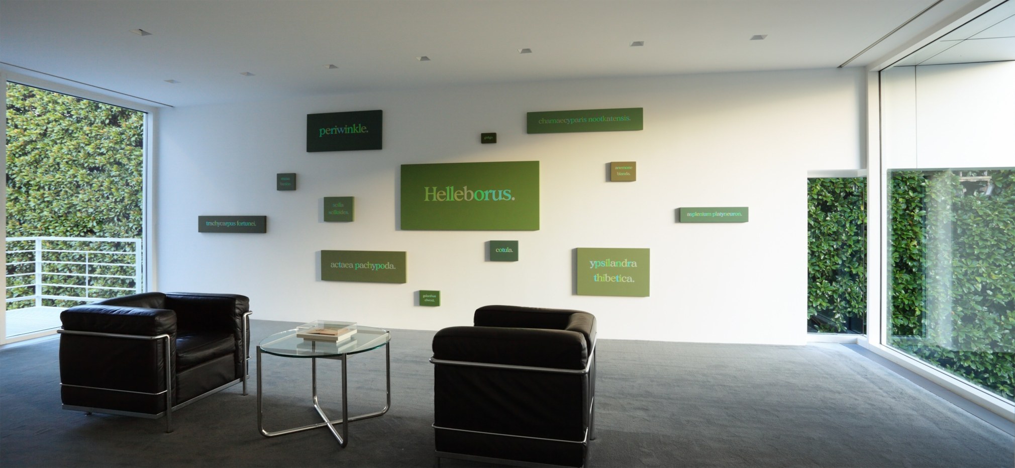 Ricci Albenda, The quick brown fox jumps over the lazy dog