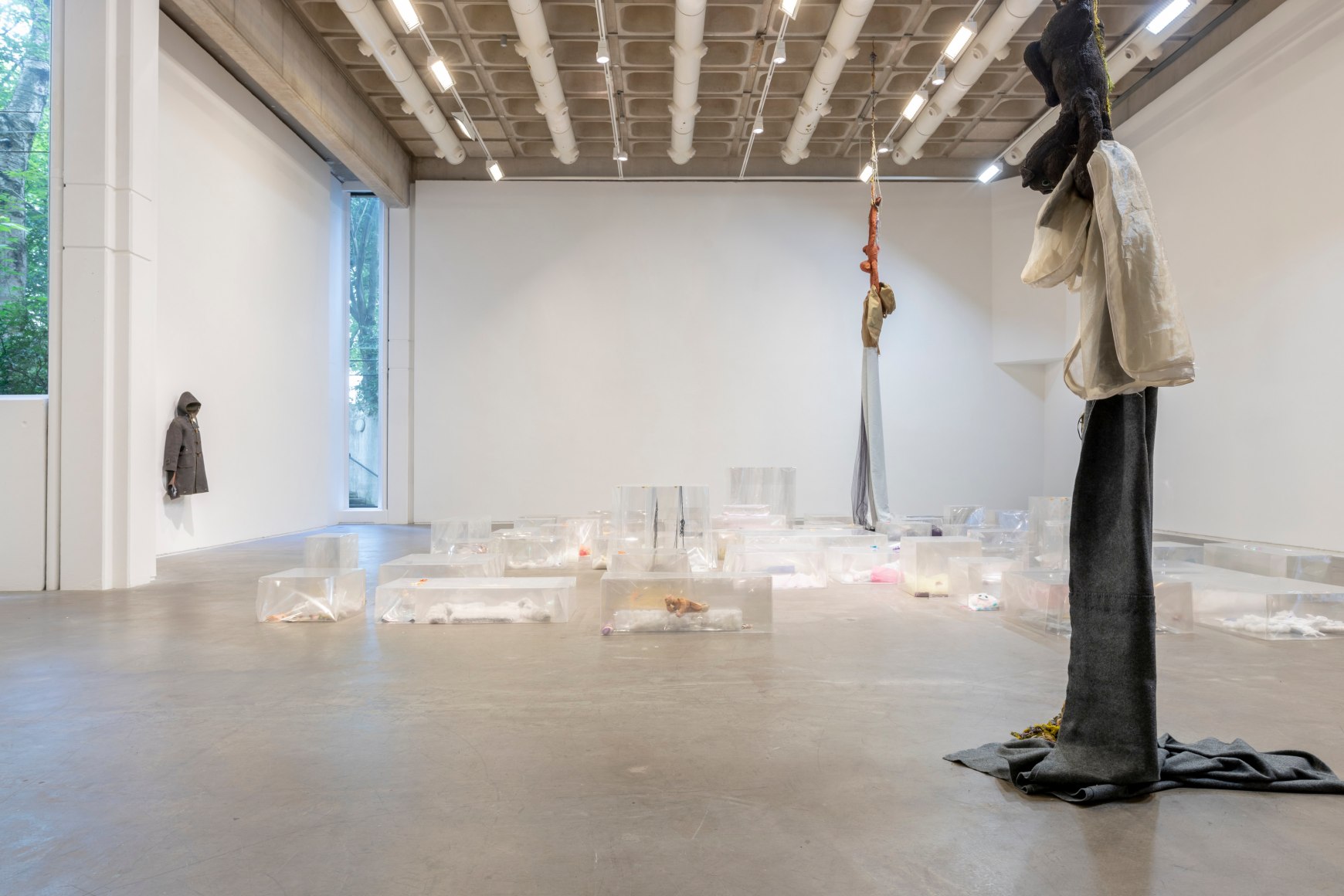 Liz Magor, The Rise and The Fall