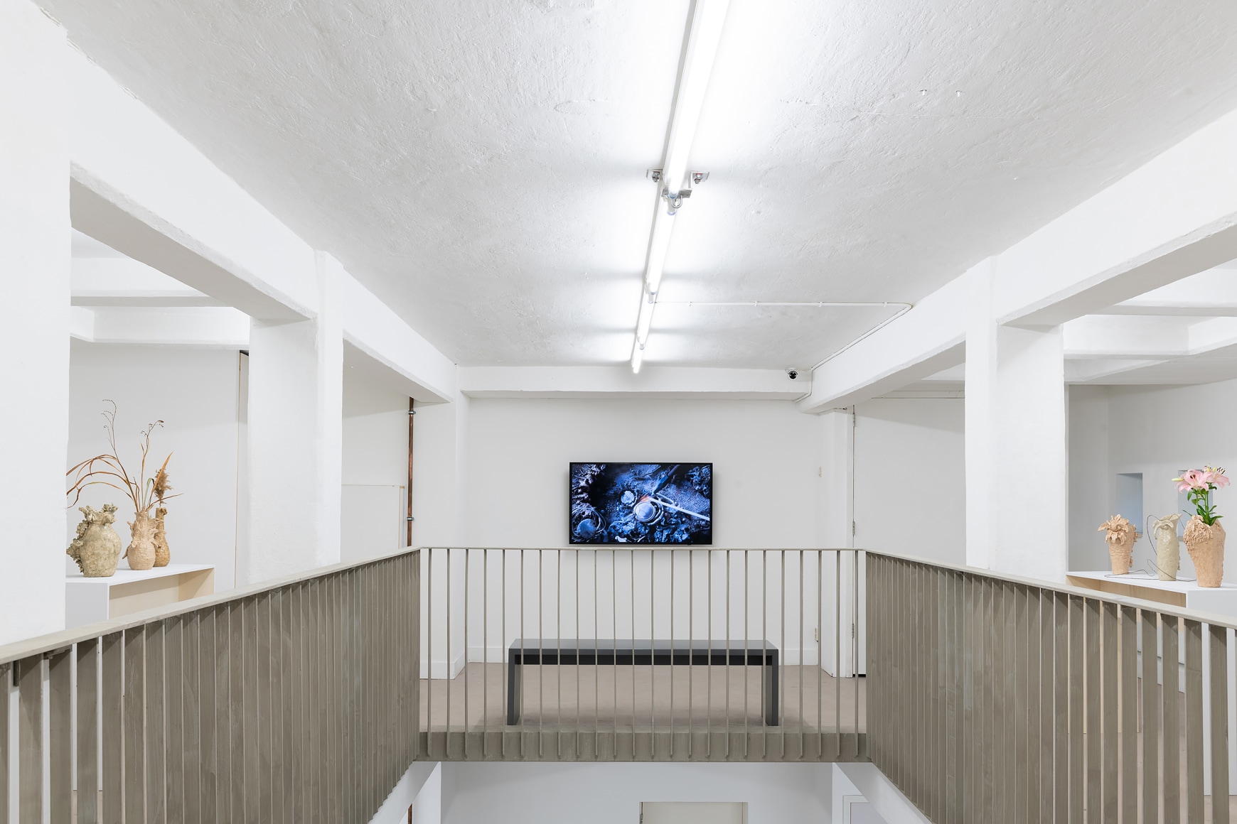 Chiara Camoni,&nbsp;Whispers, world above, world below