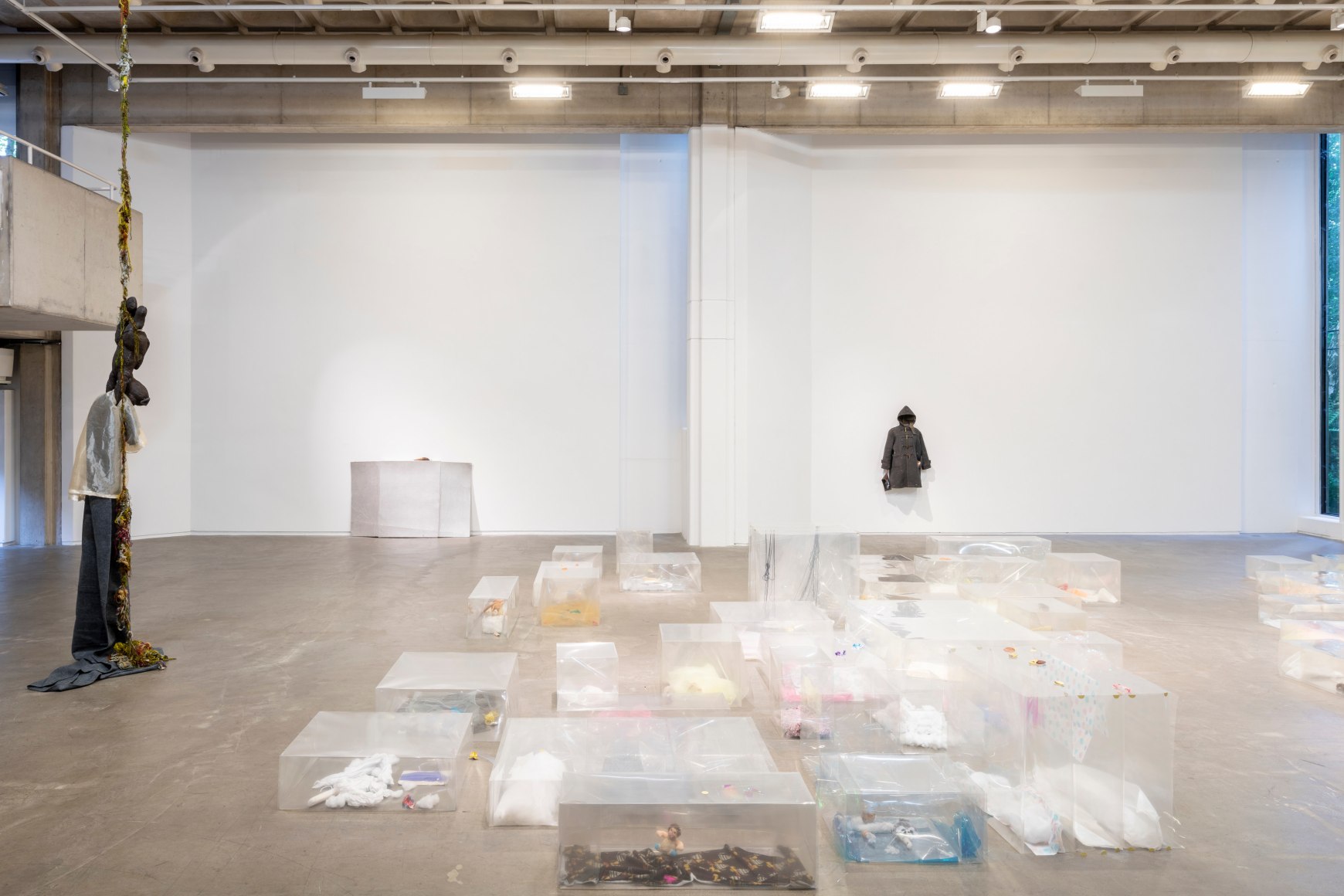 Liz Magor, The Rise and The Fall