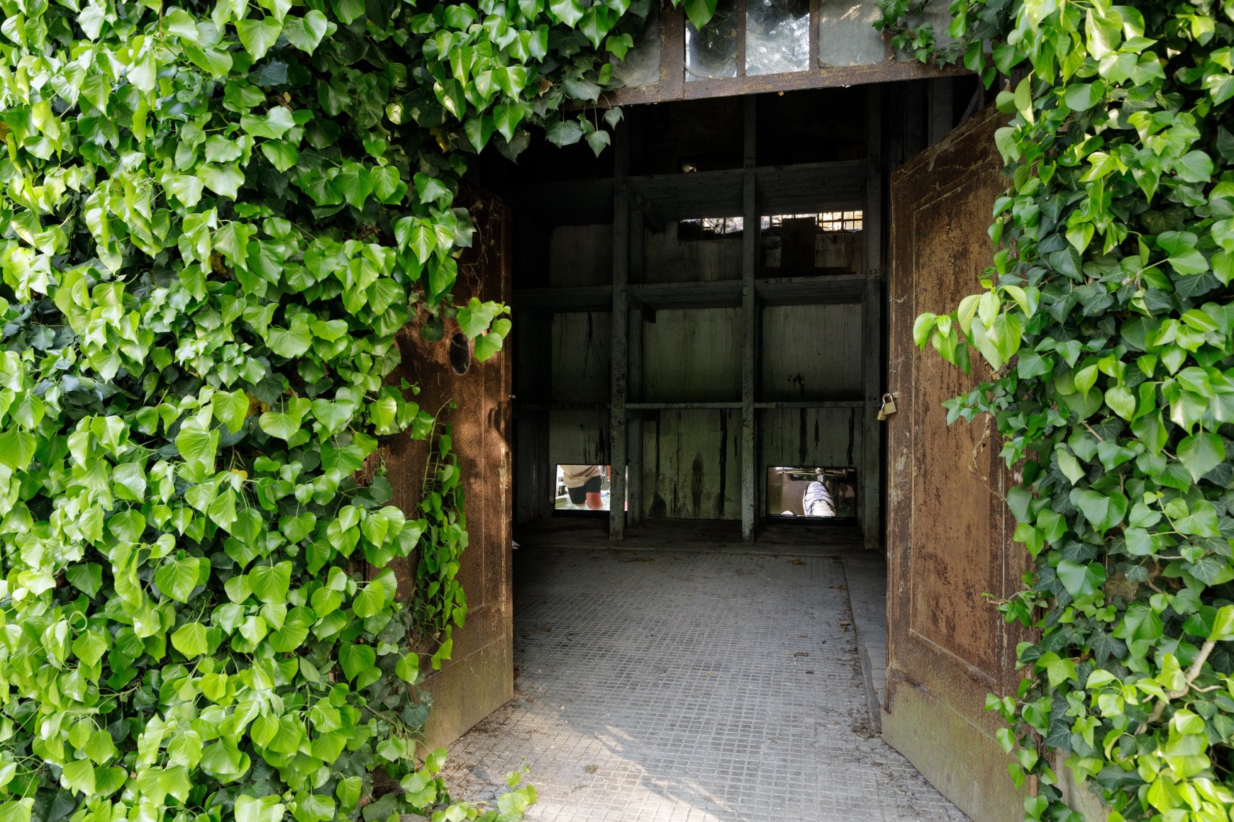 Michael E. Smith, May You Live In Interesting Times