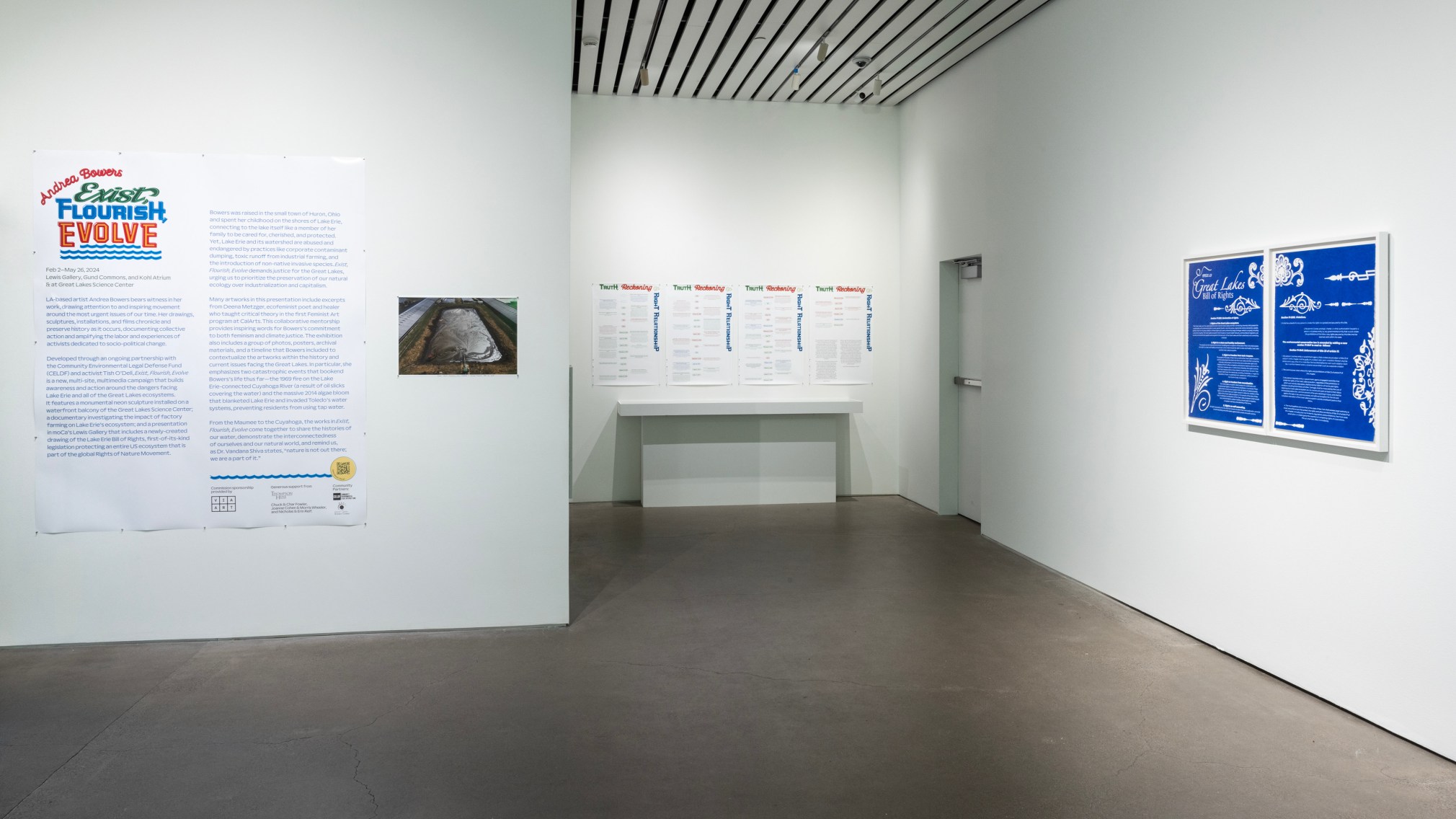 Andrea Bowers, Exist, Flourish, Evolve