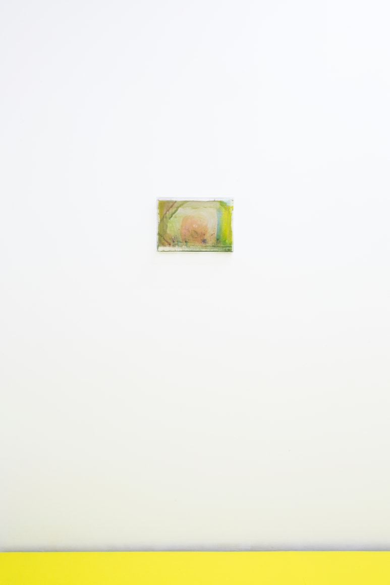 Hayley Tompkins December 10, 2016 - January 28, 2017, Lulu, Mexico City