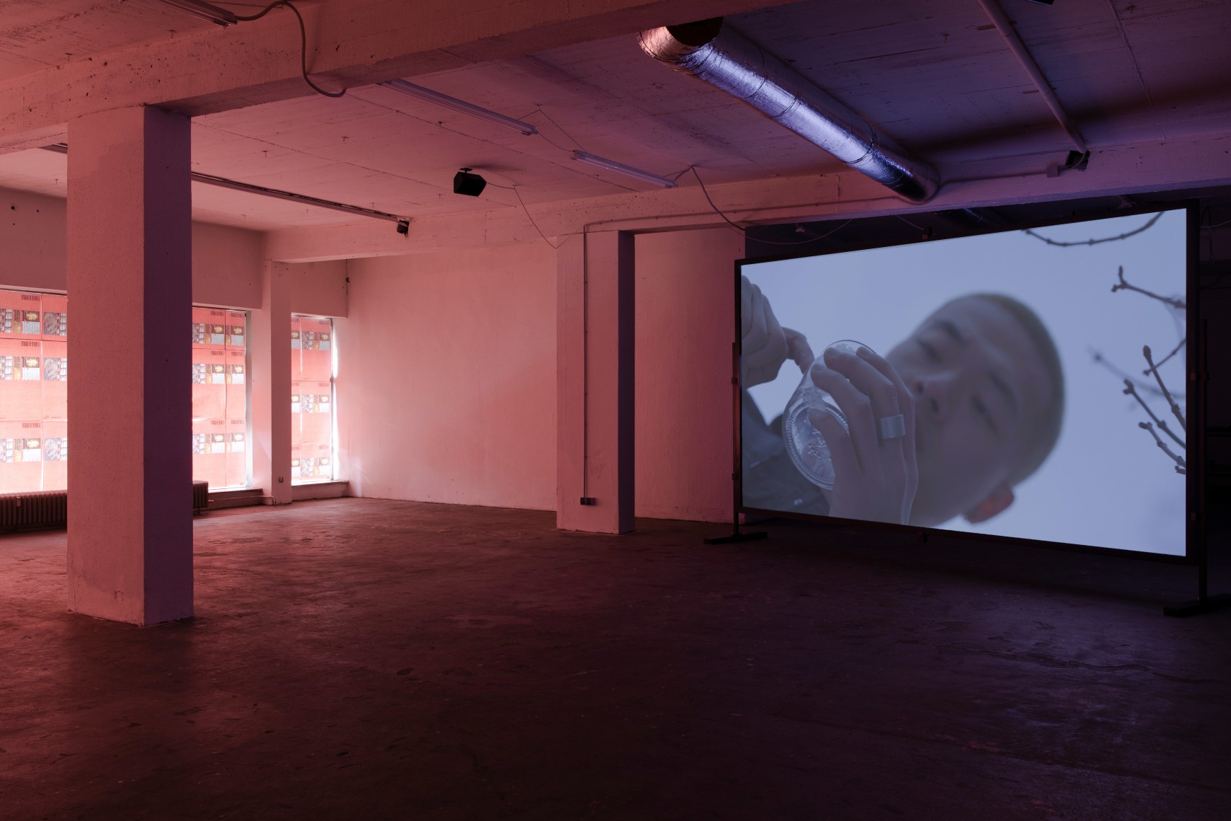 He Xiangyu,&nbsp;House of Nations