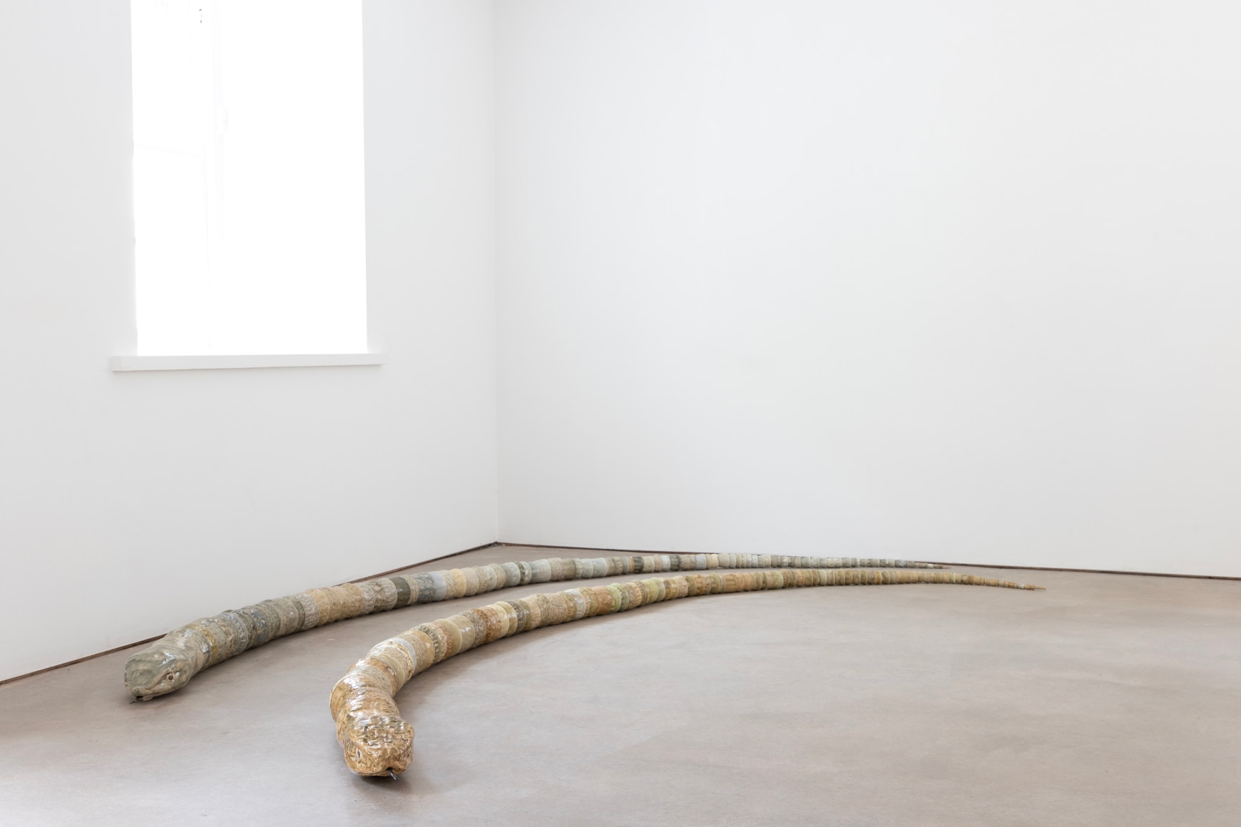 Chiara Camoni,&nbsp;murmur, buzz, hiss and rub