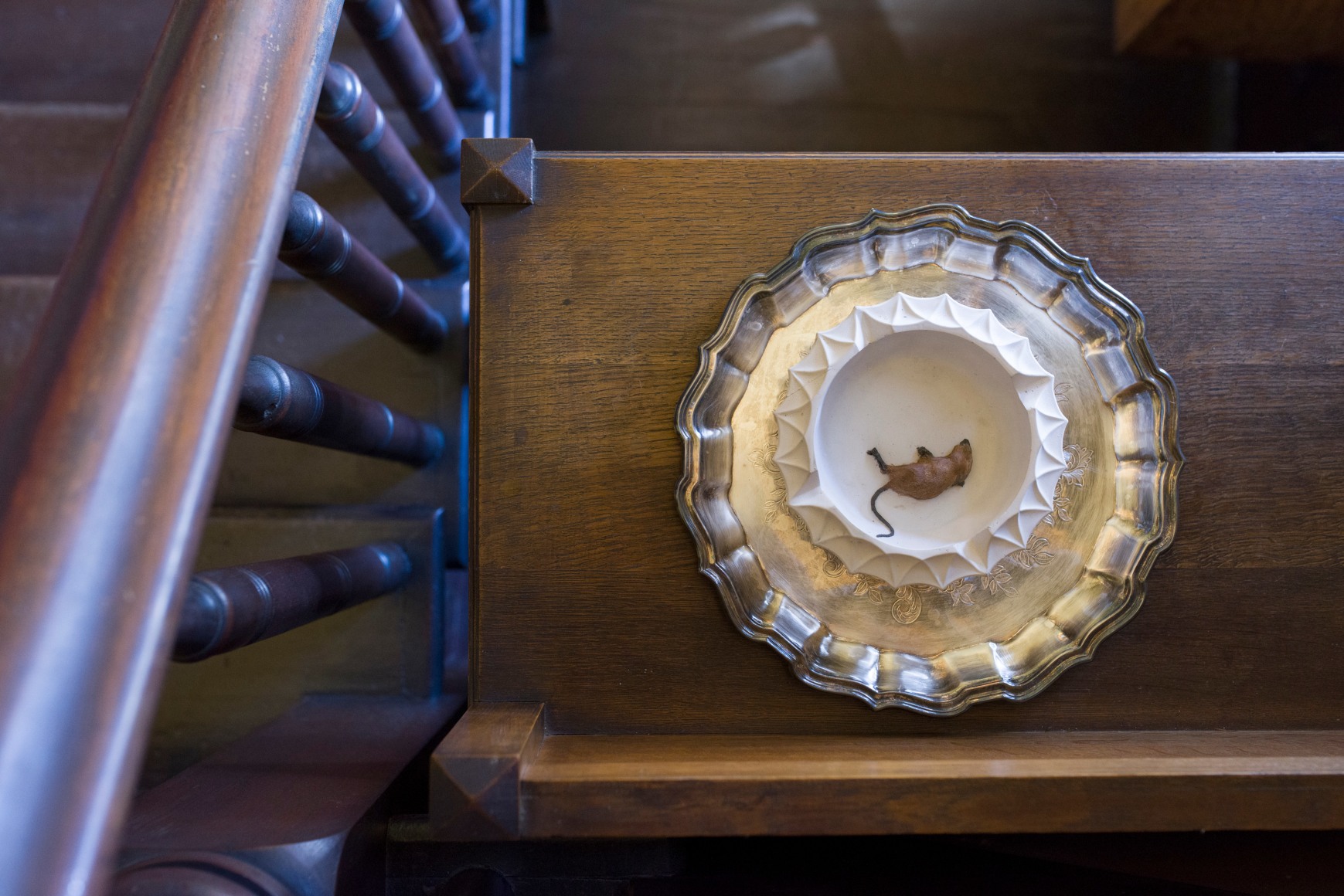 Liz Magor, TIMESHARE